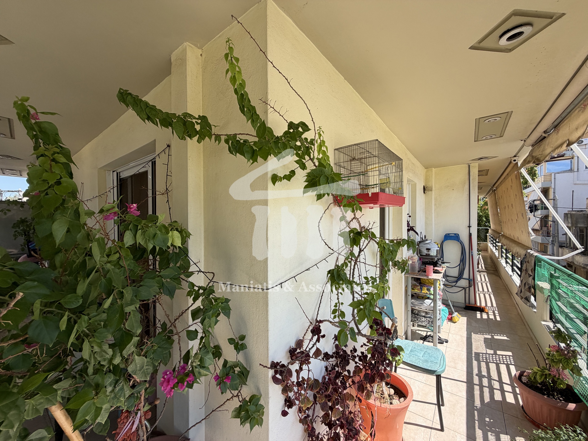 Gallery image 31