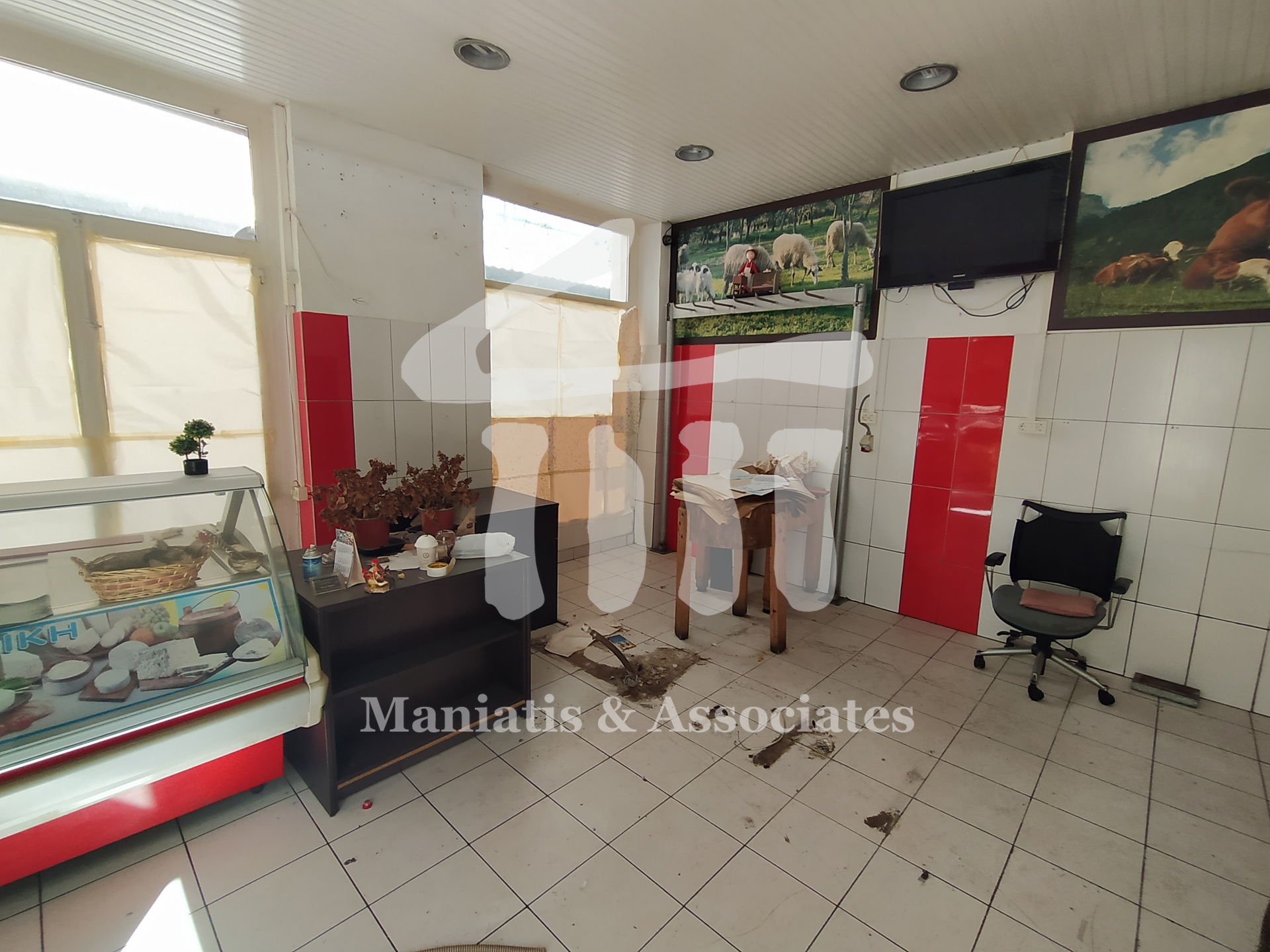 Gallery image 6