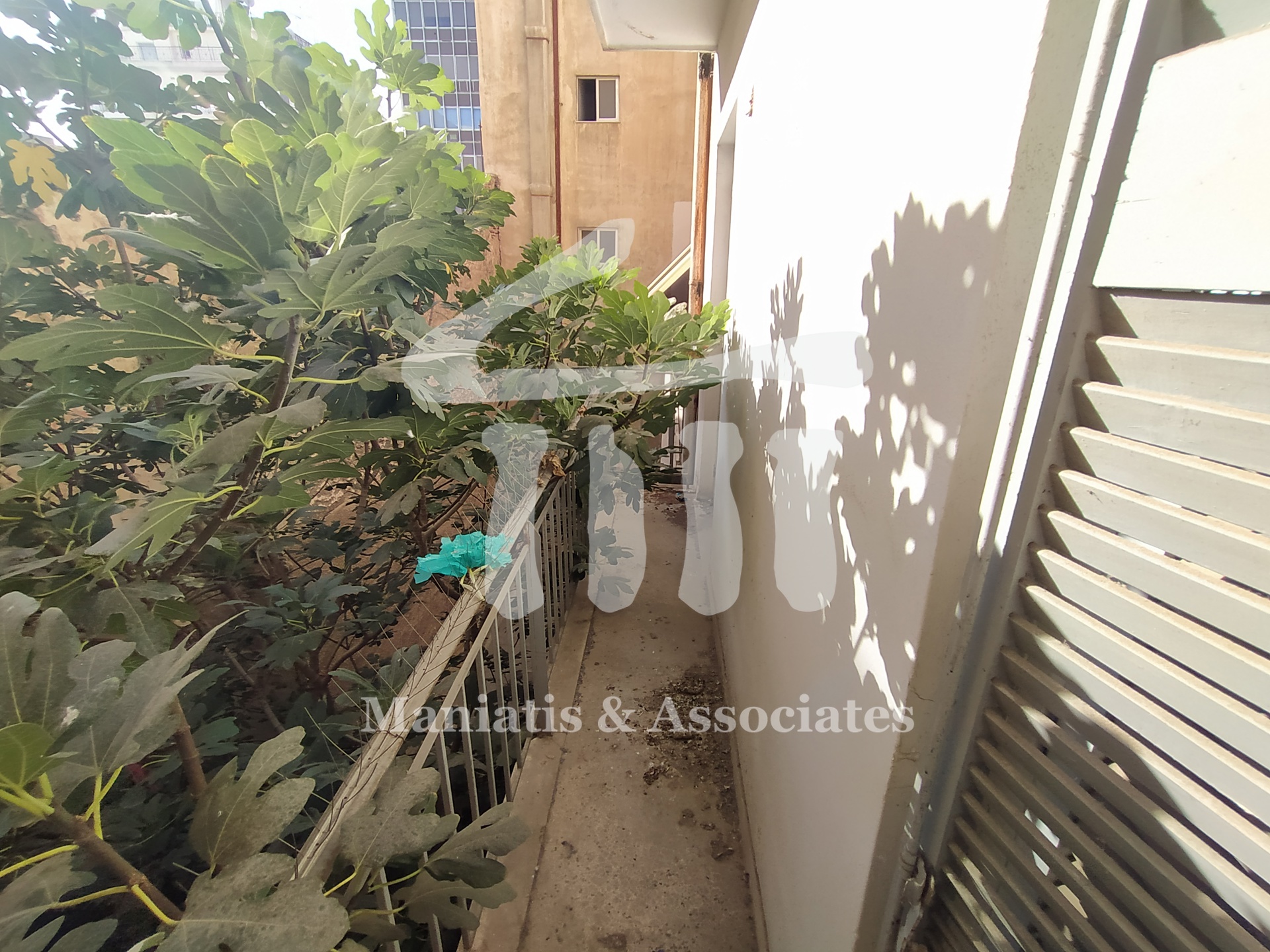 Gallery image 16