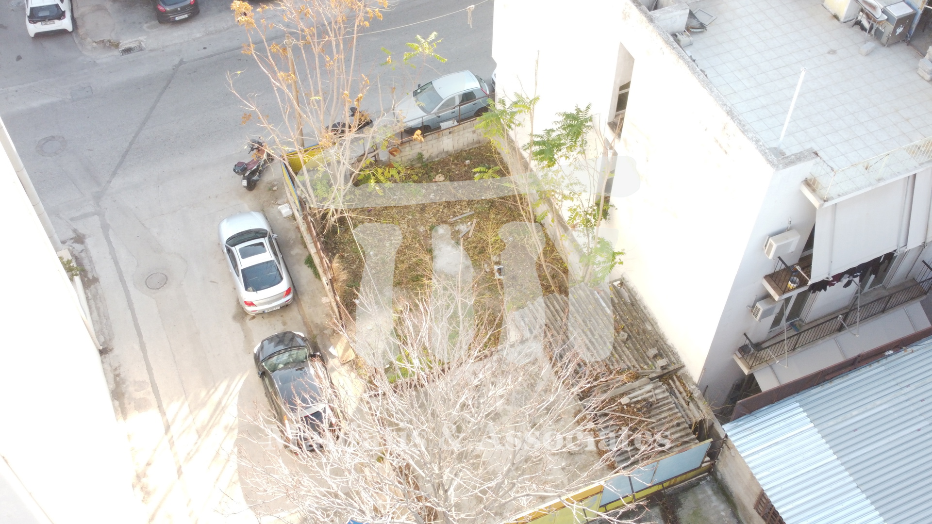 Gallery image 11
