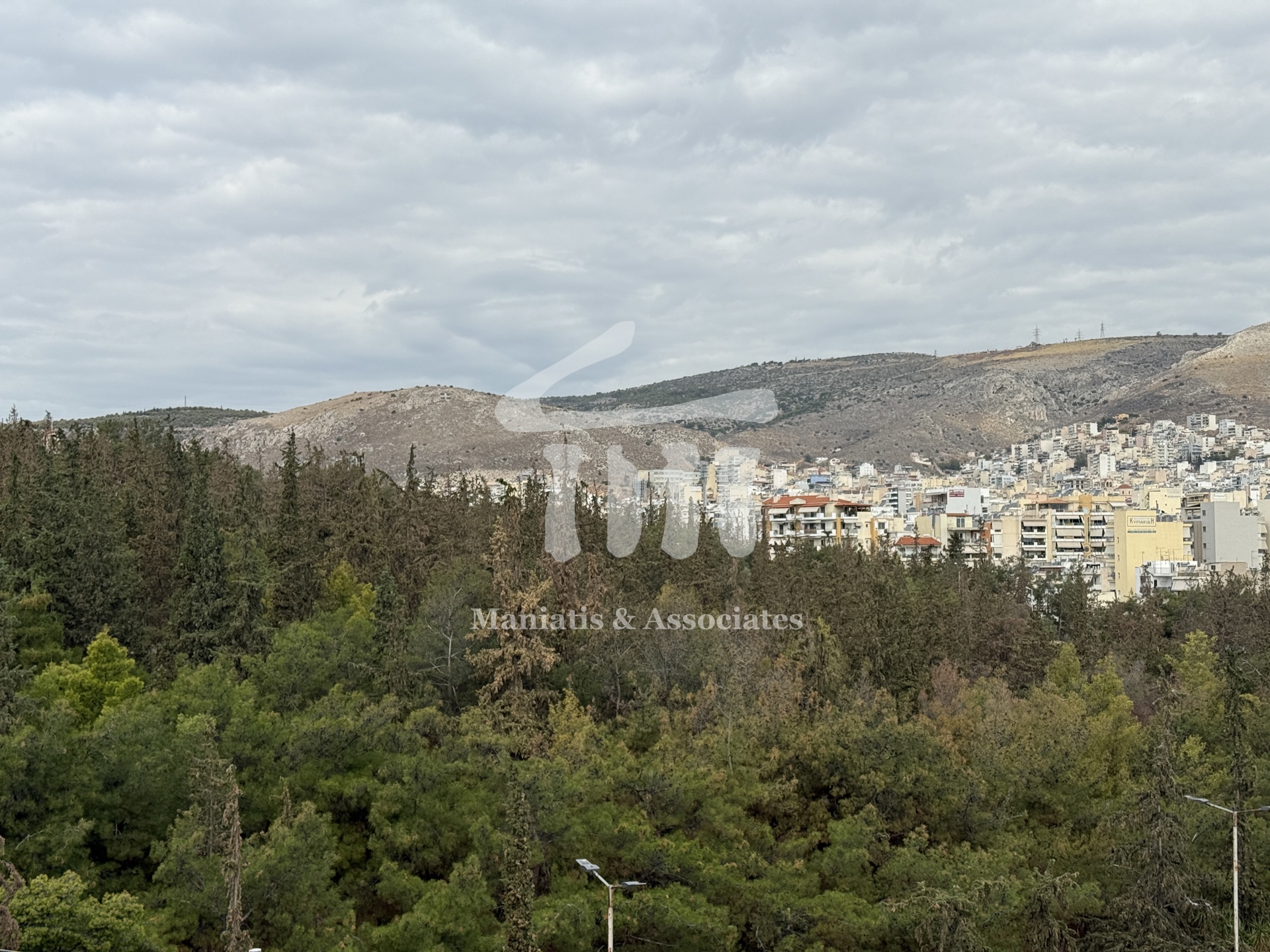 Gallery image 16