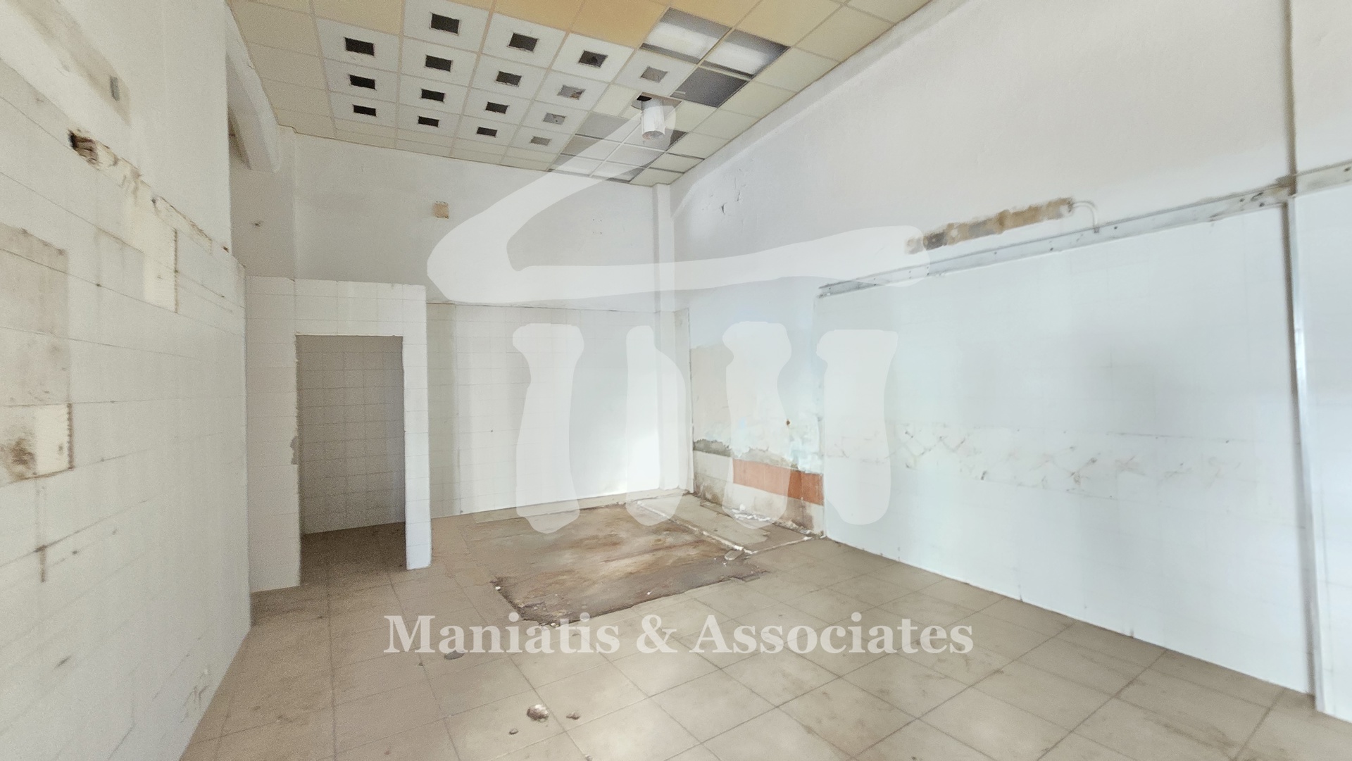 Gallery image 7