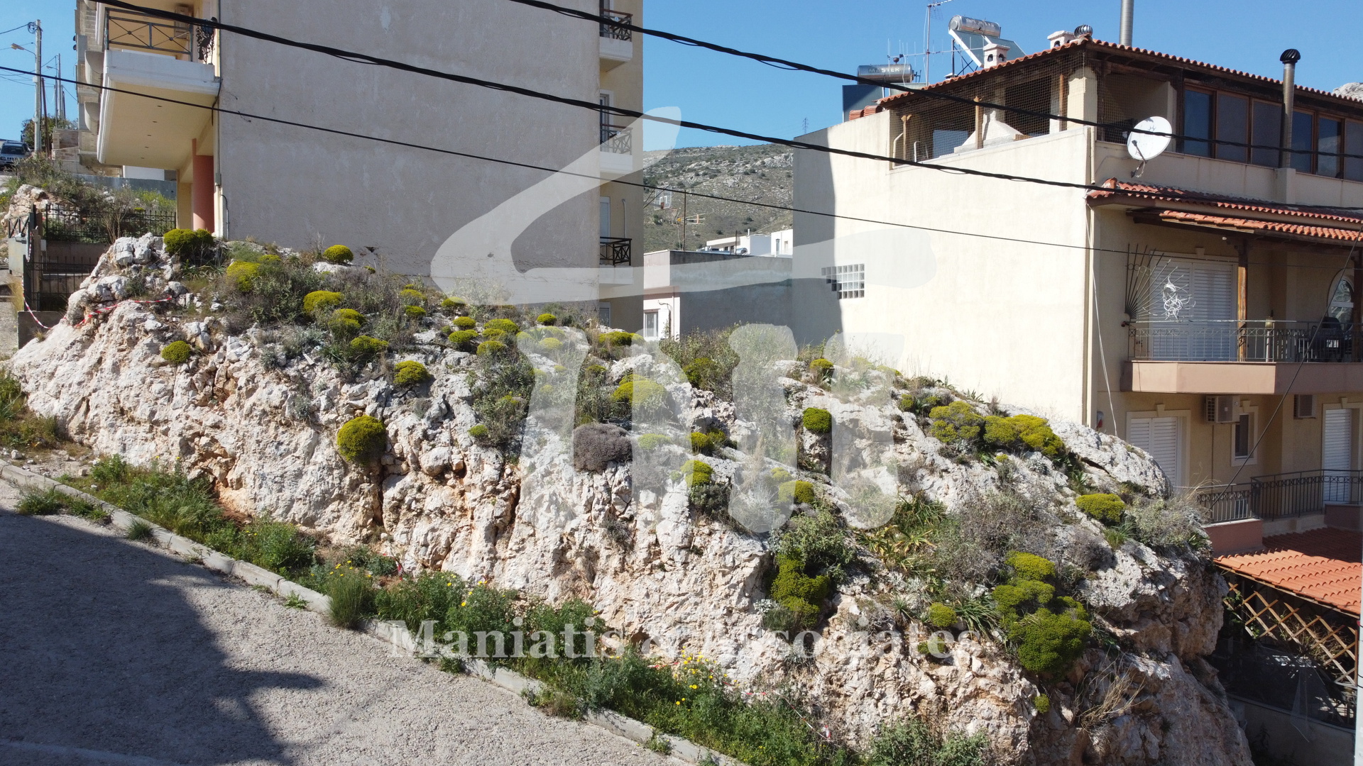 Gallery image 16