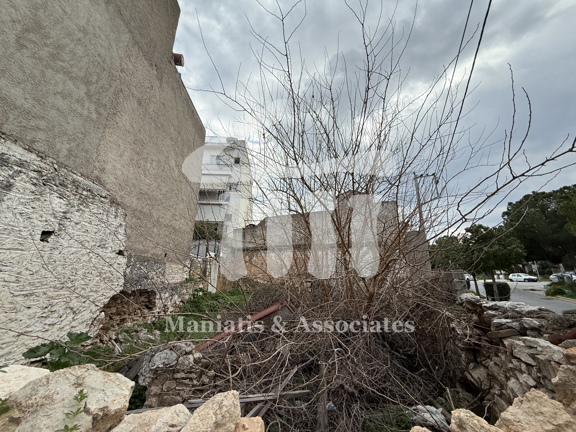 Gallery image 15