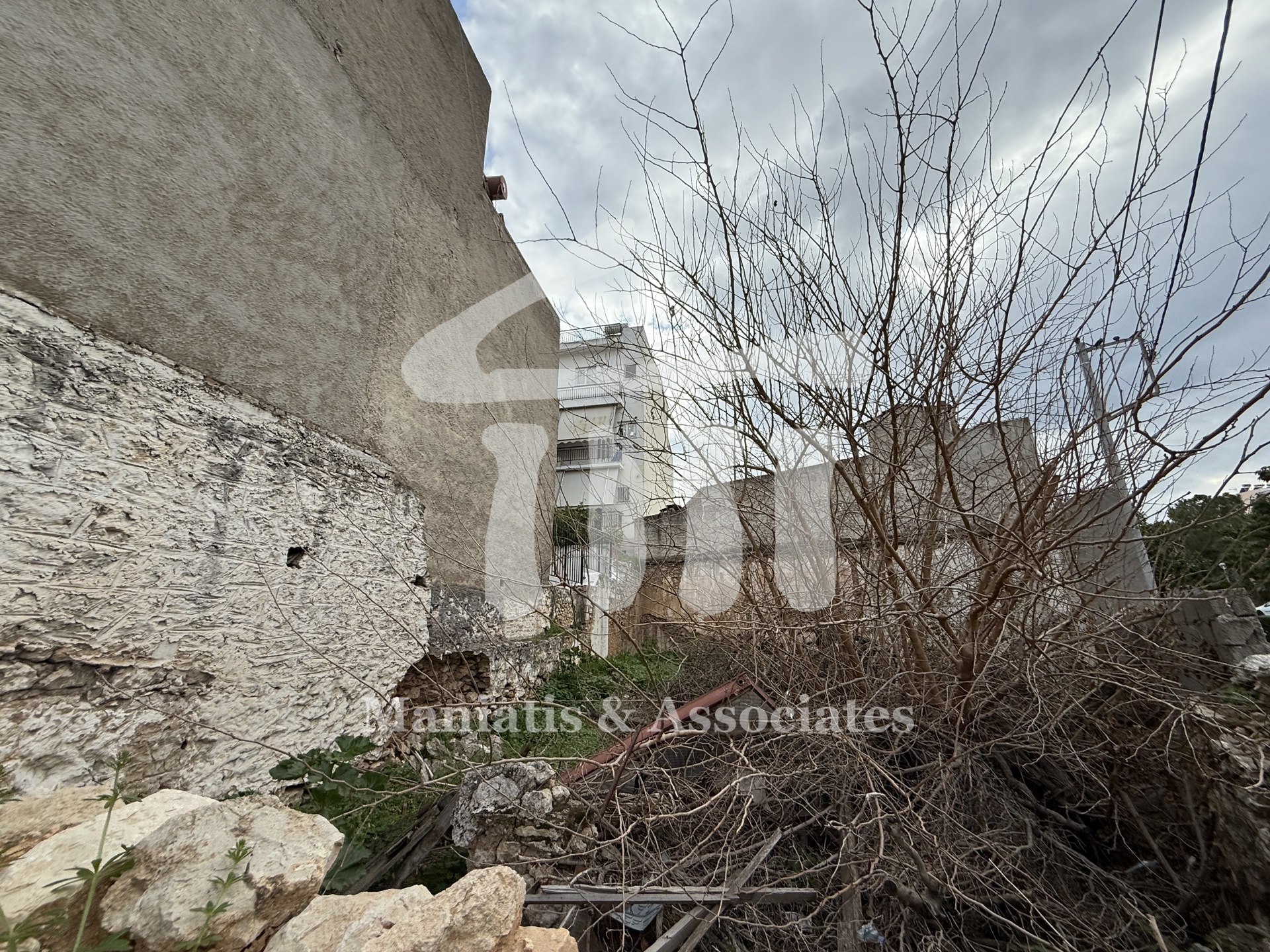 Gallery image 7