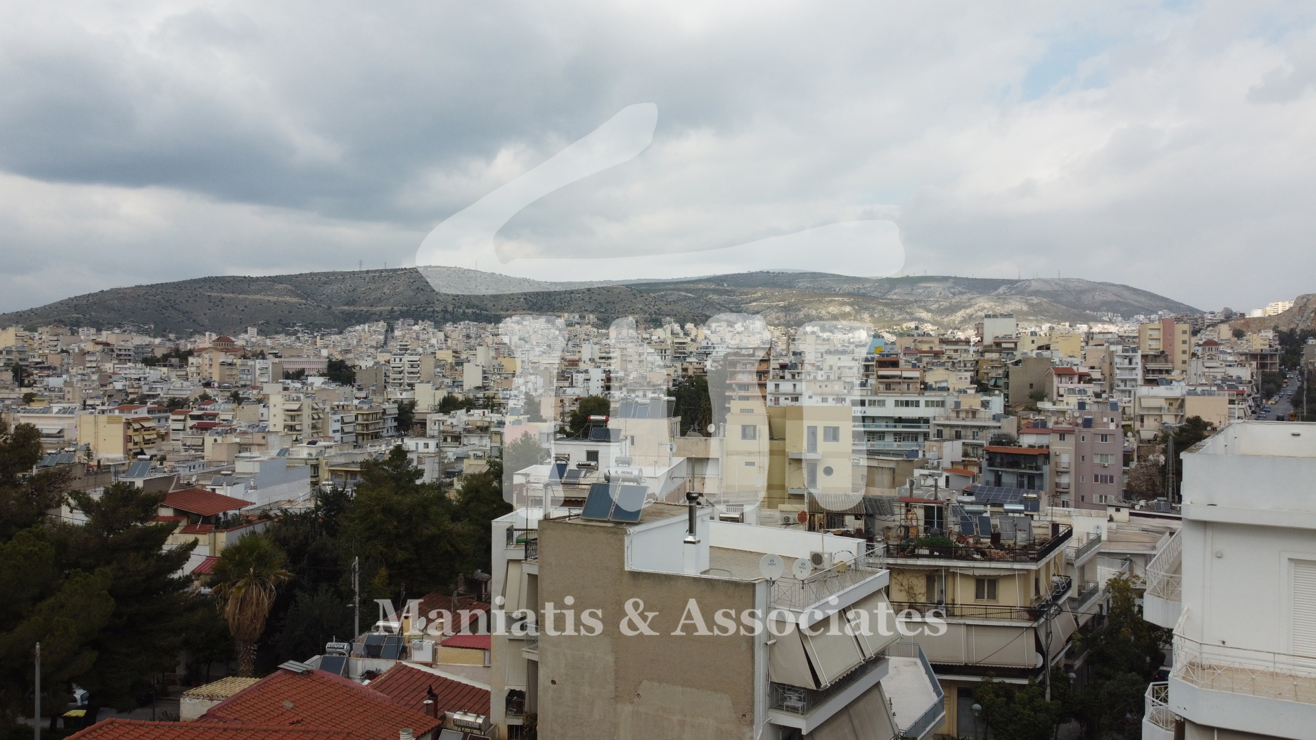 Gallery image 14