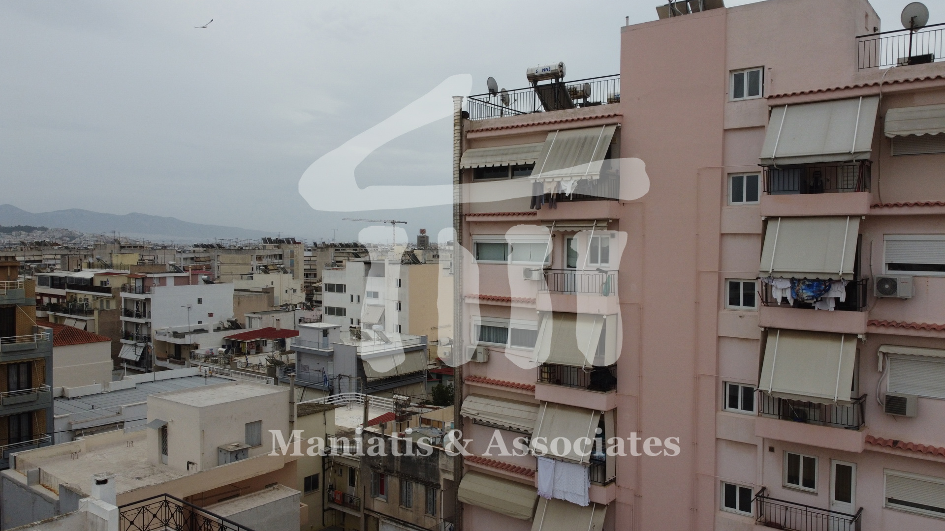 Gallery image 10