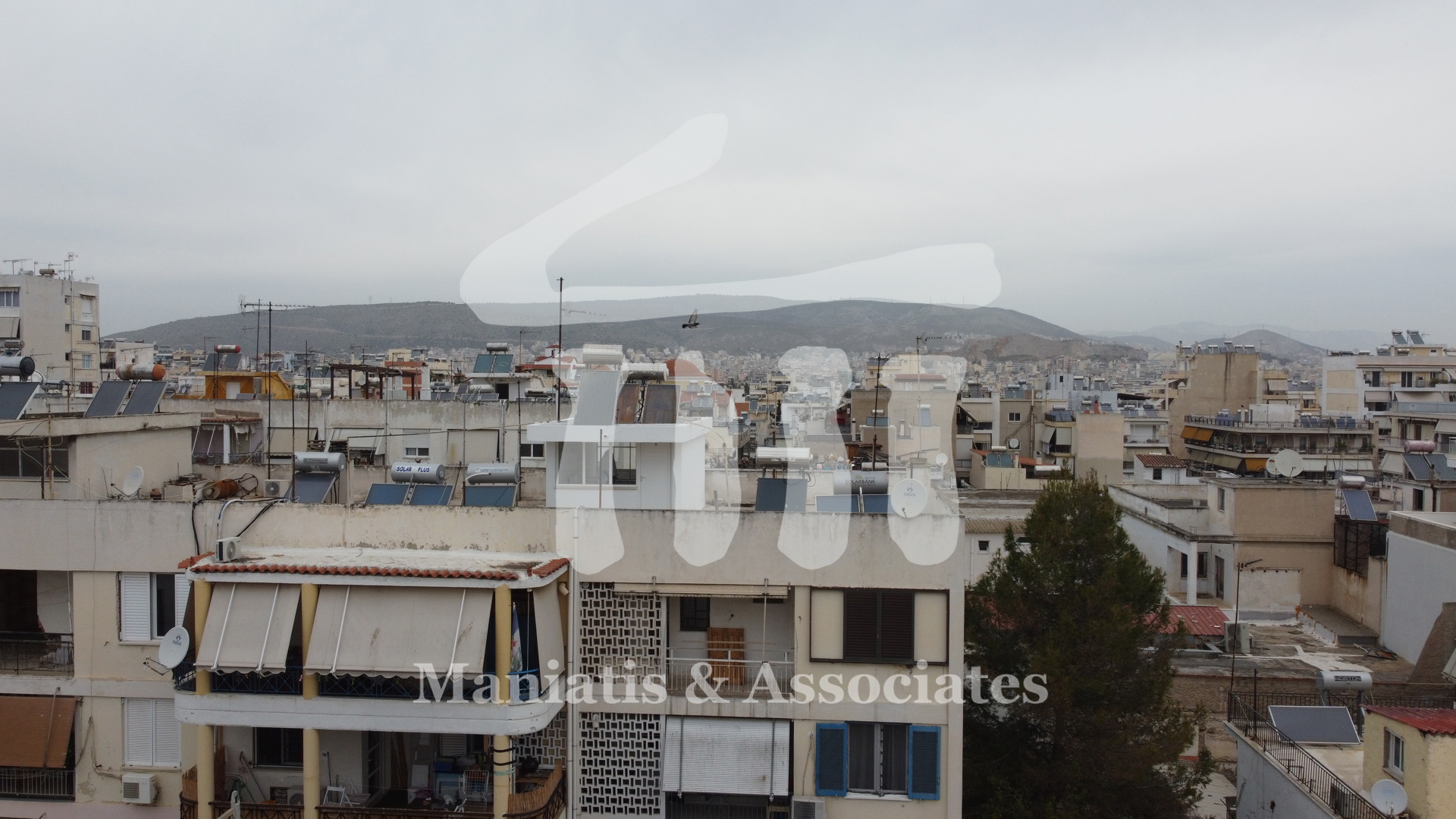 Gallery image 21