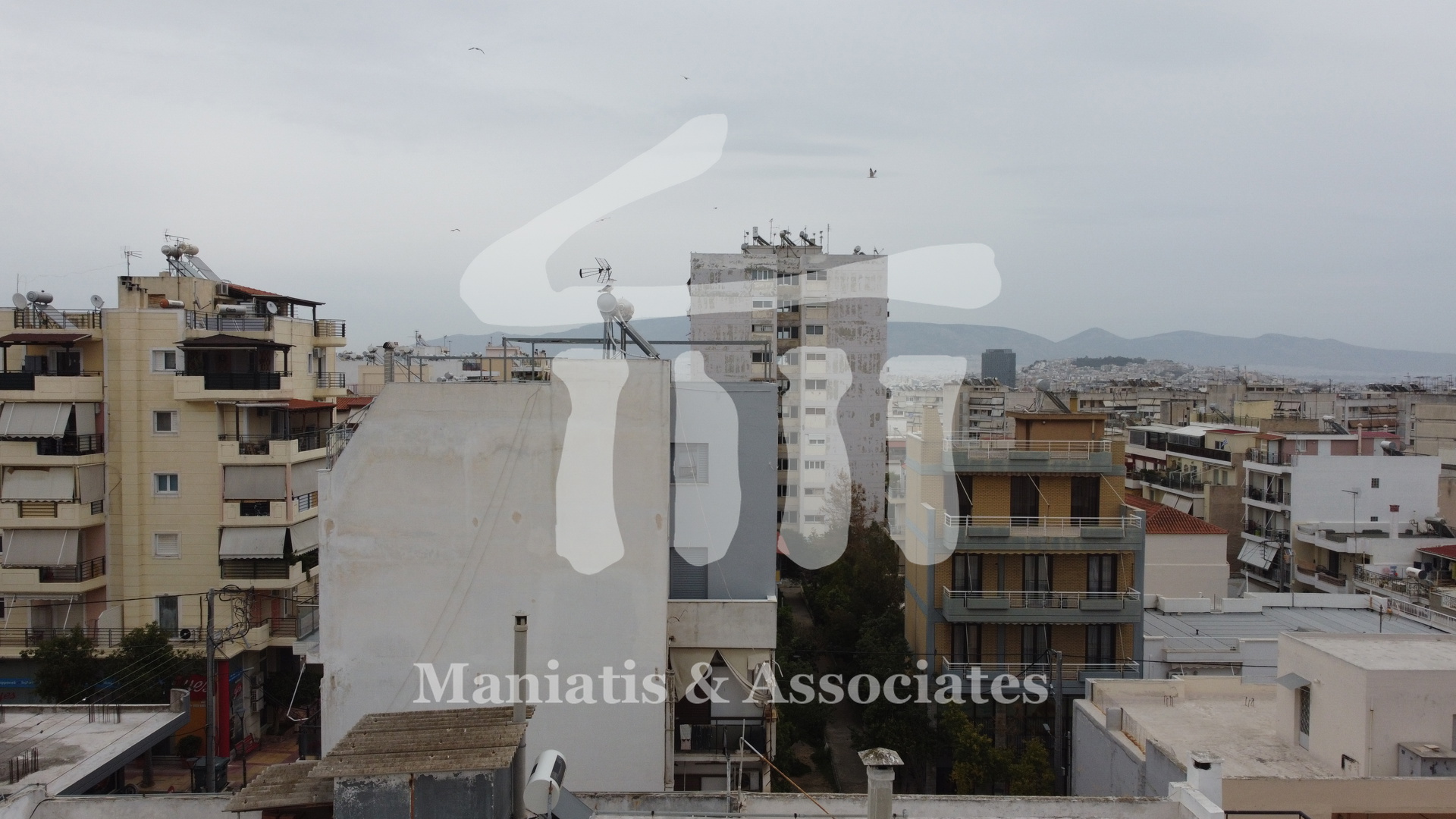 Gallery image 15