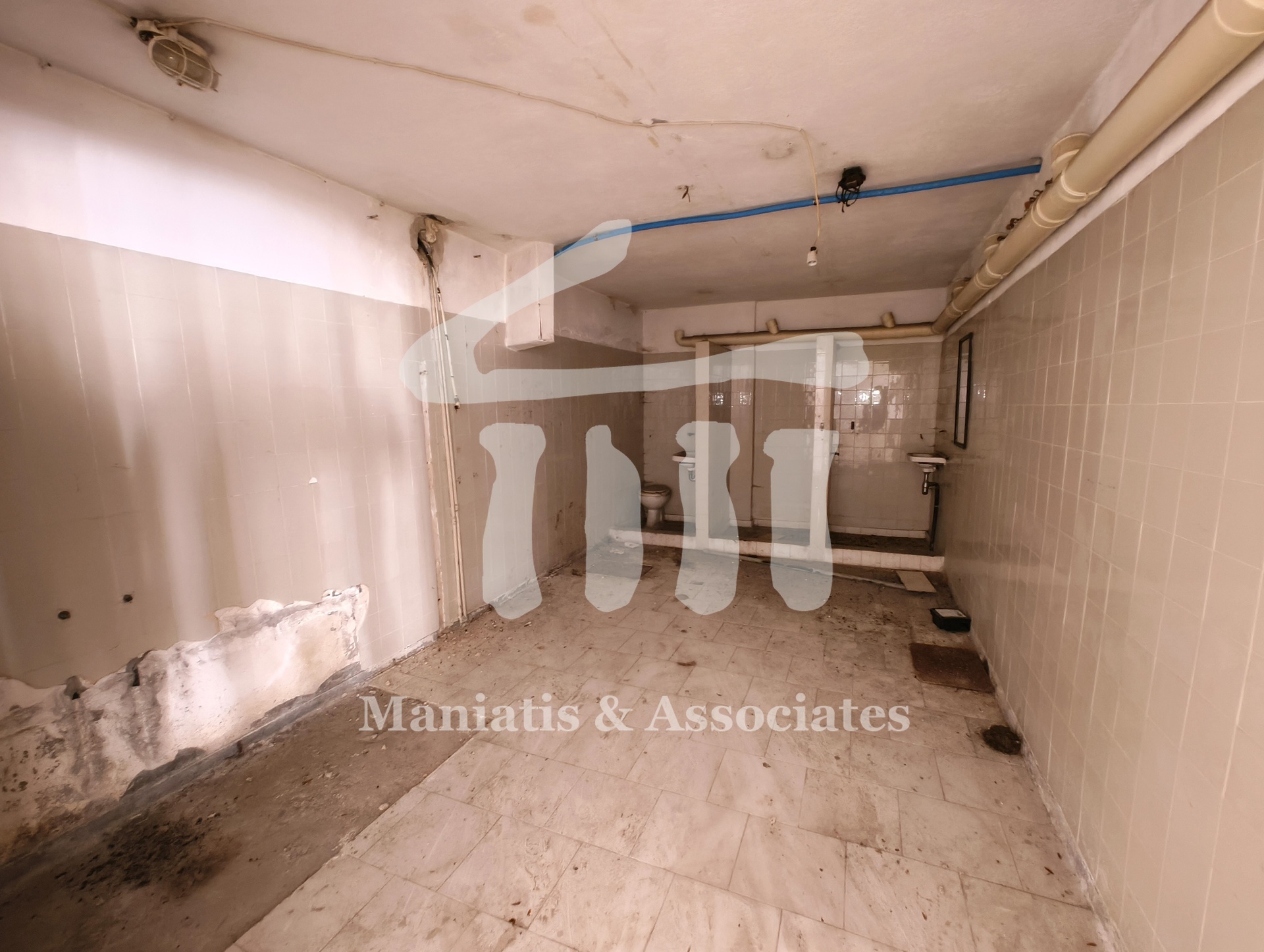 Gallery image 12