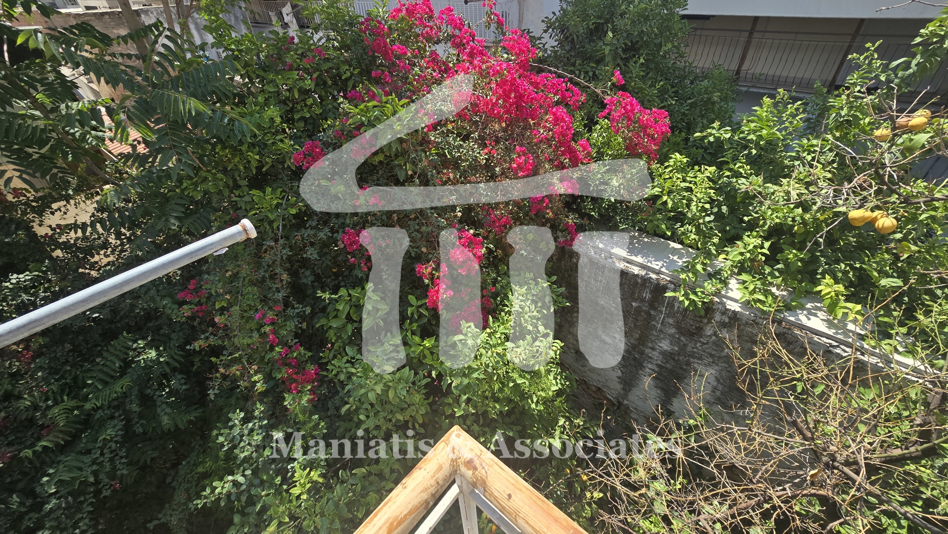 Gallery image 11