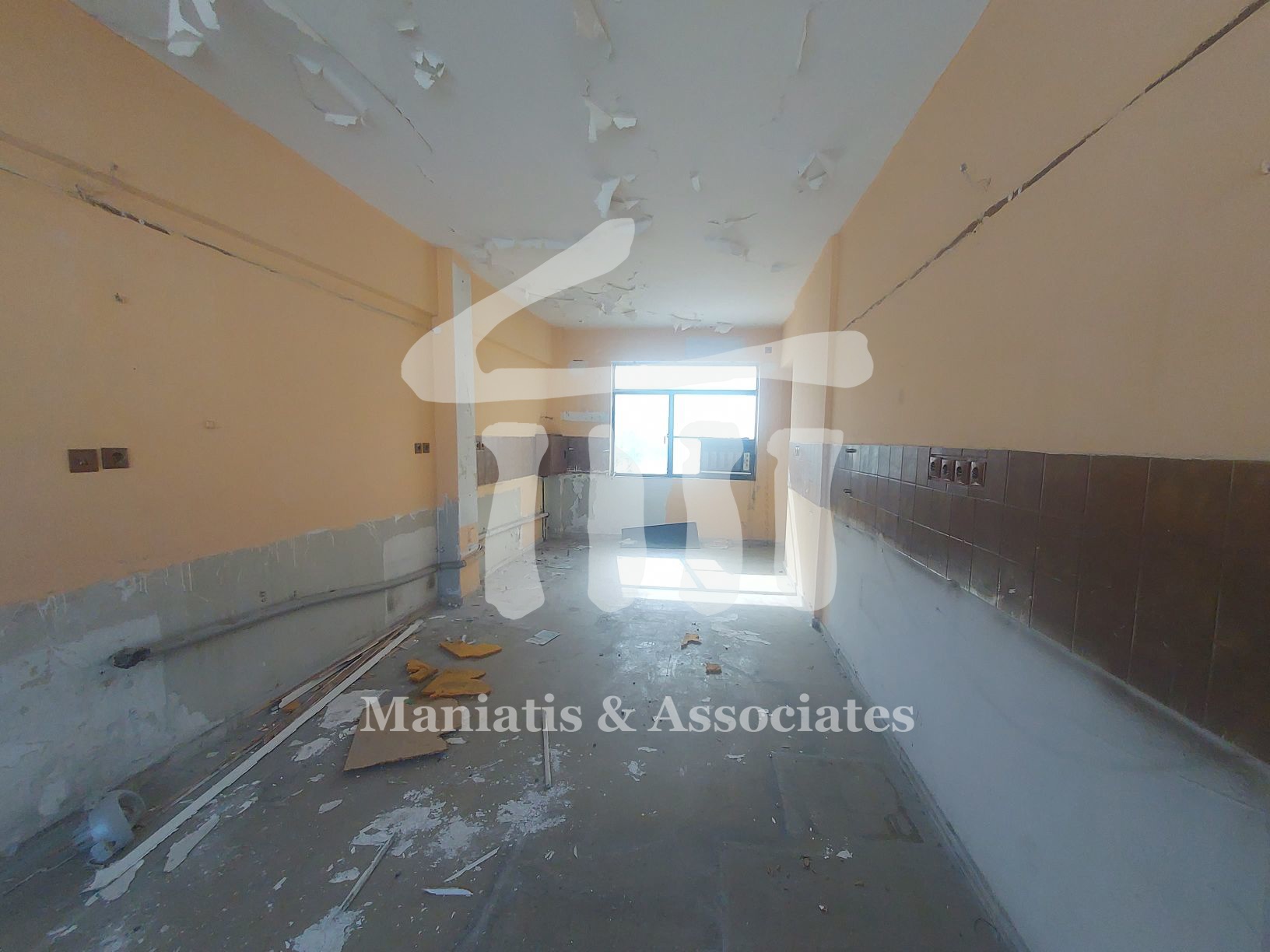 Gallery image 6