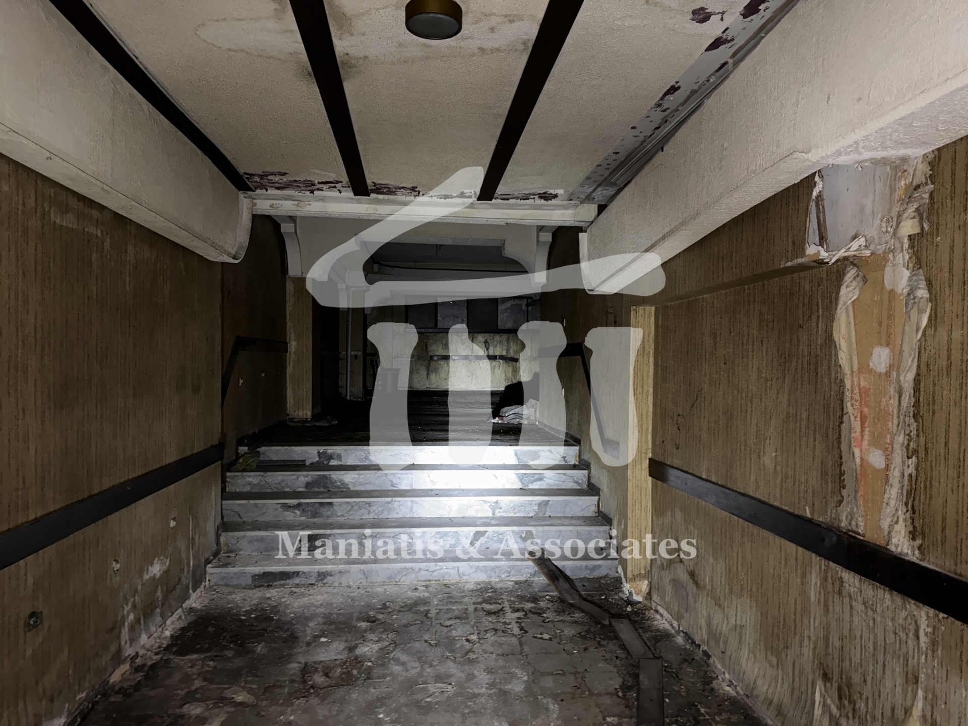 Gallery image 6