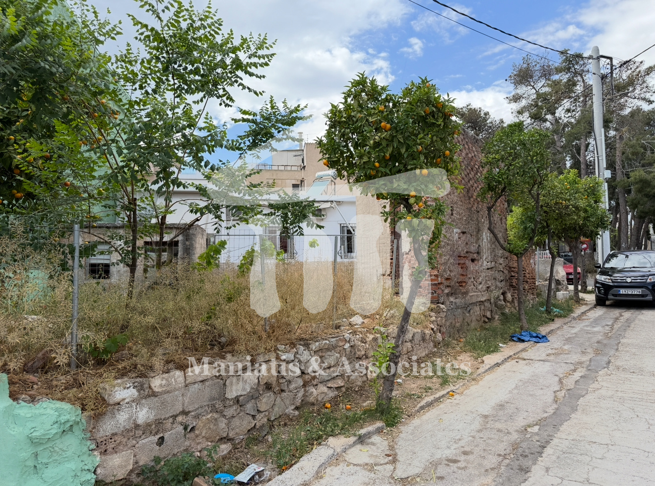 Gallery image 13