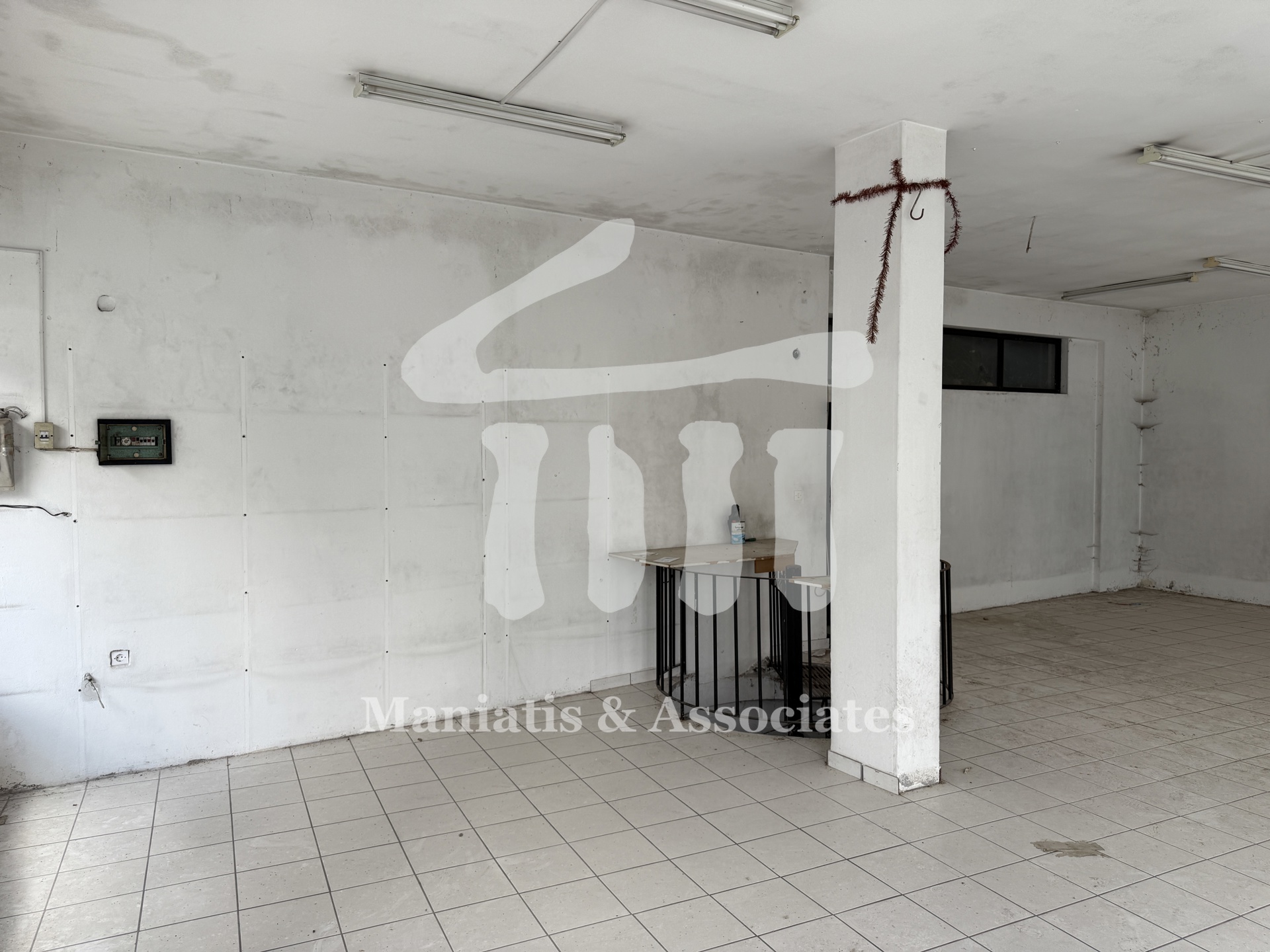 Gallery image 12