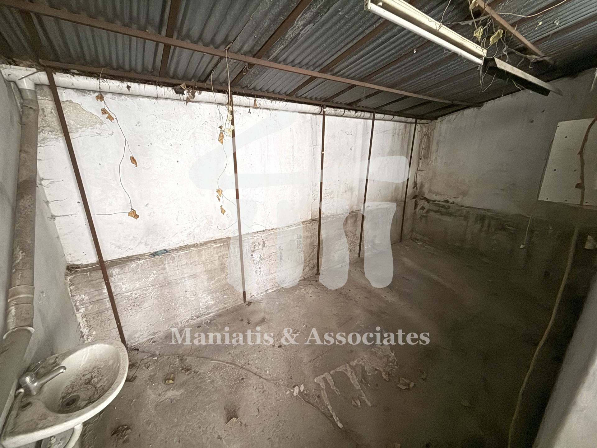 Gallery image 6