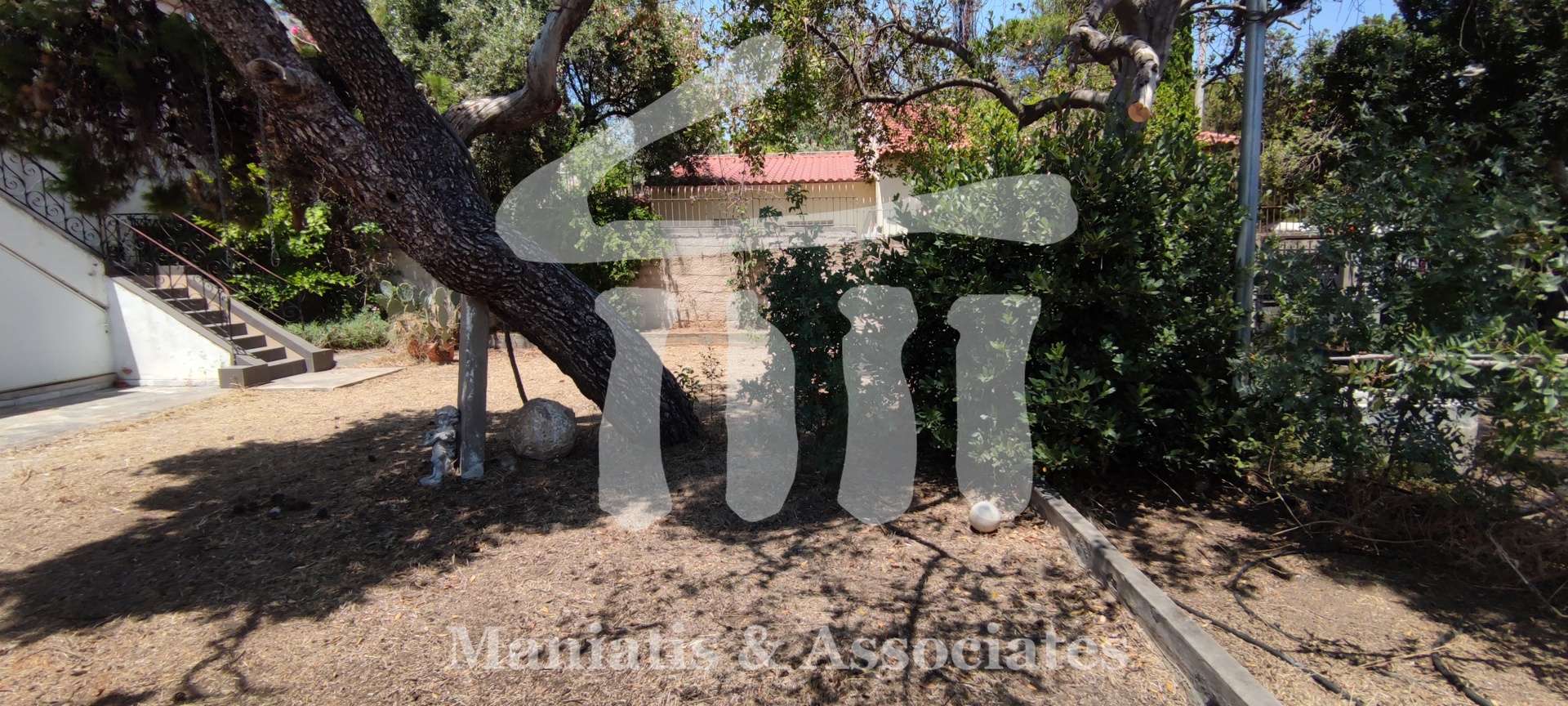 Gallery image 14