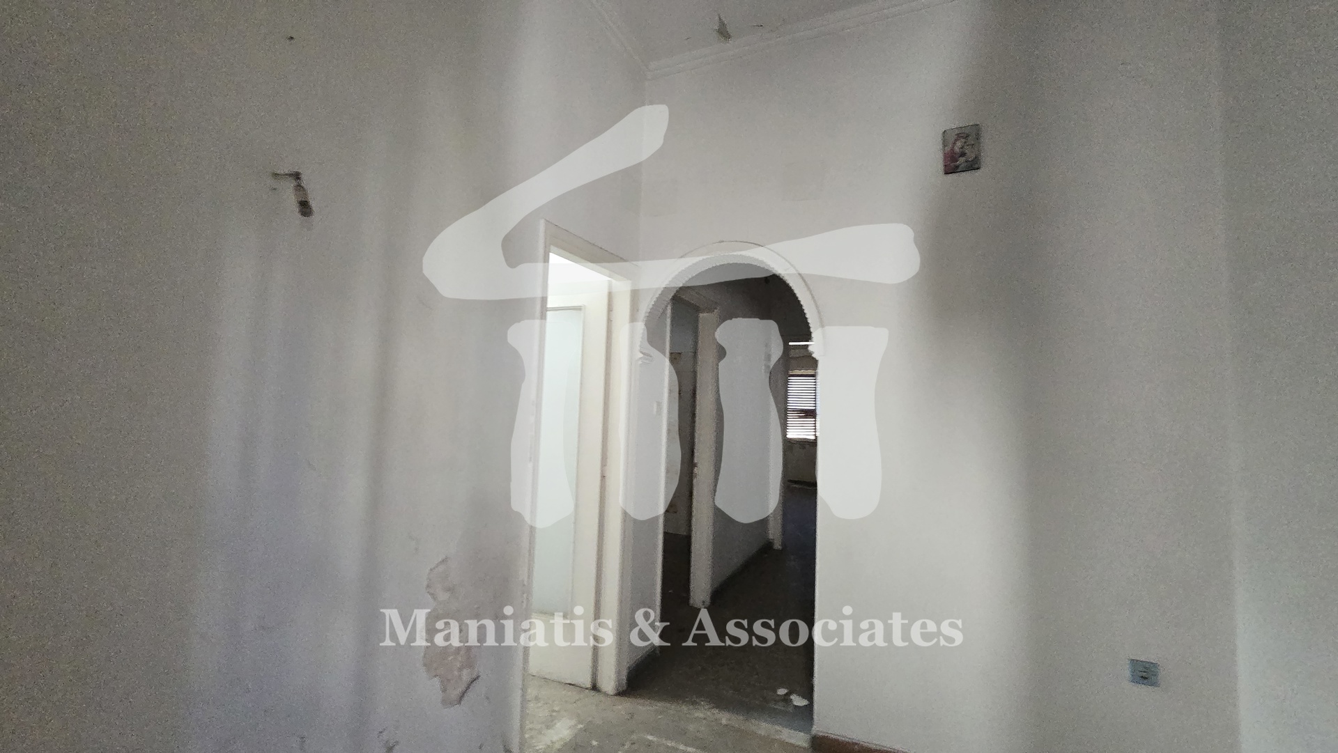 Gallery image 7