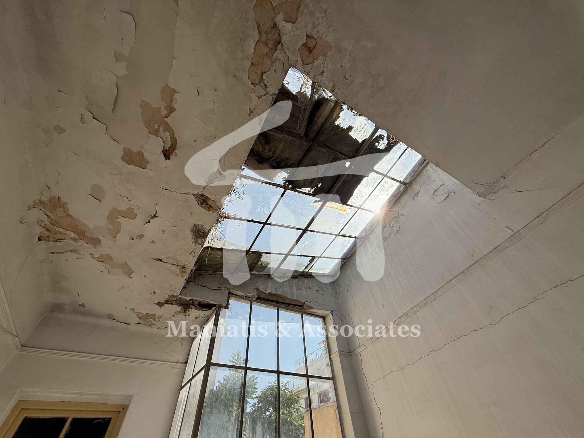 Gallery image 12