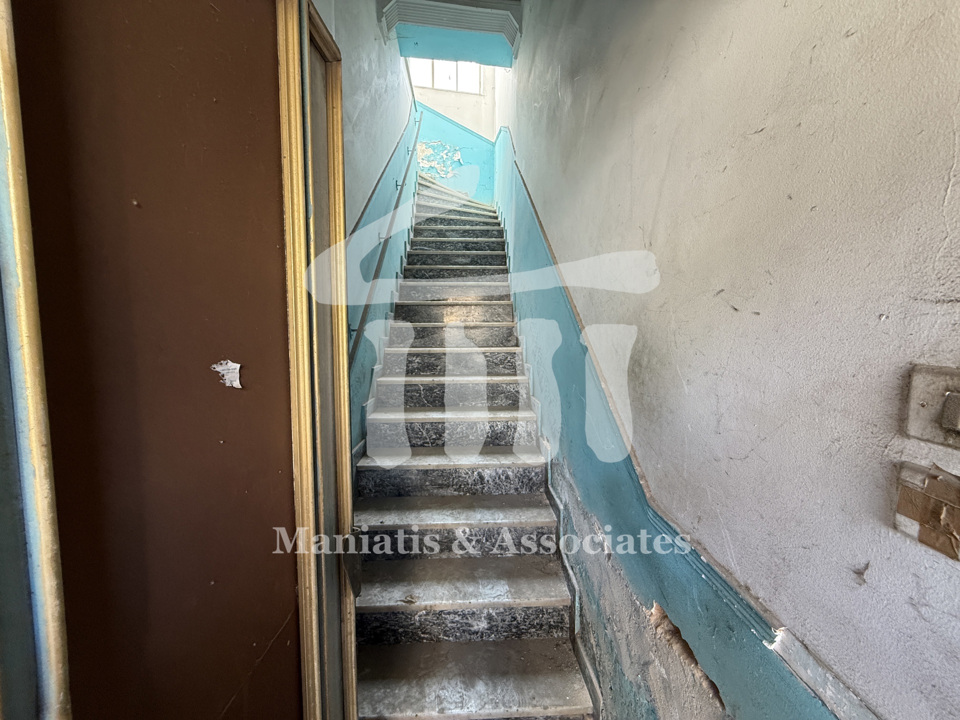Gallery image 14