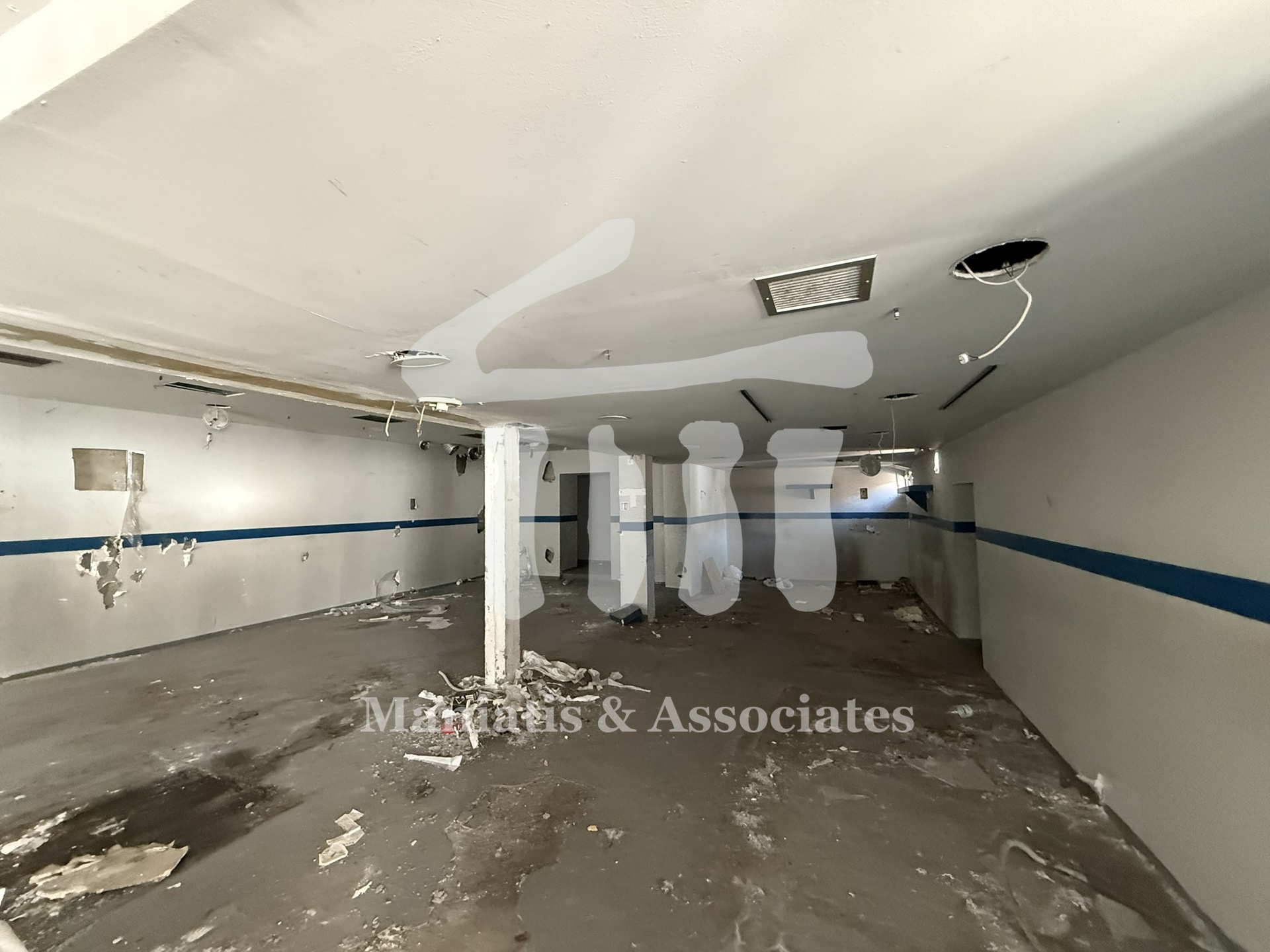 Gallery image 7