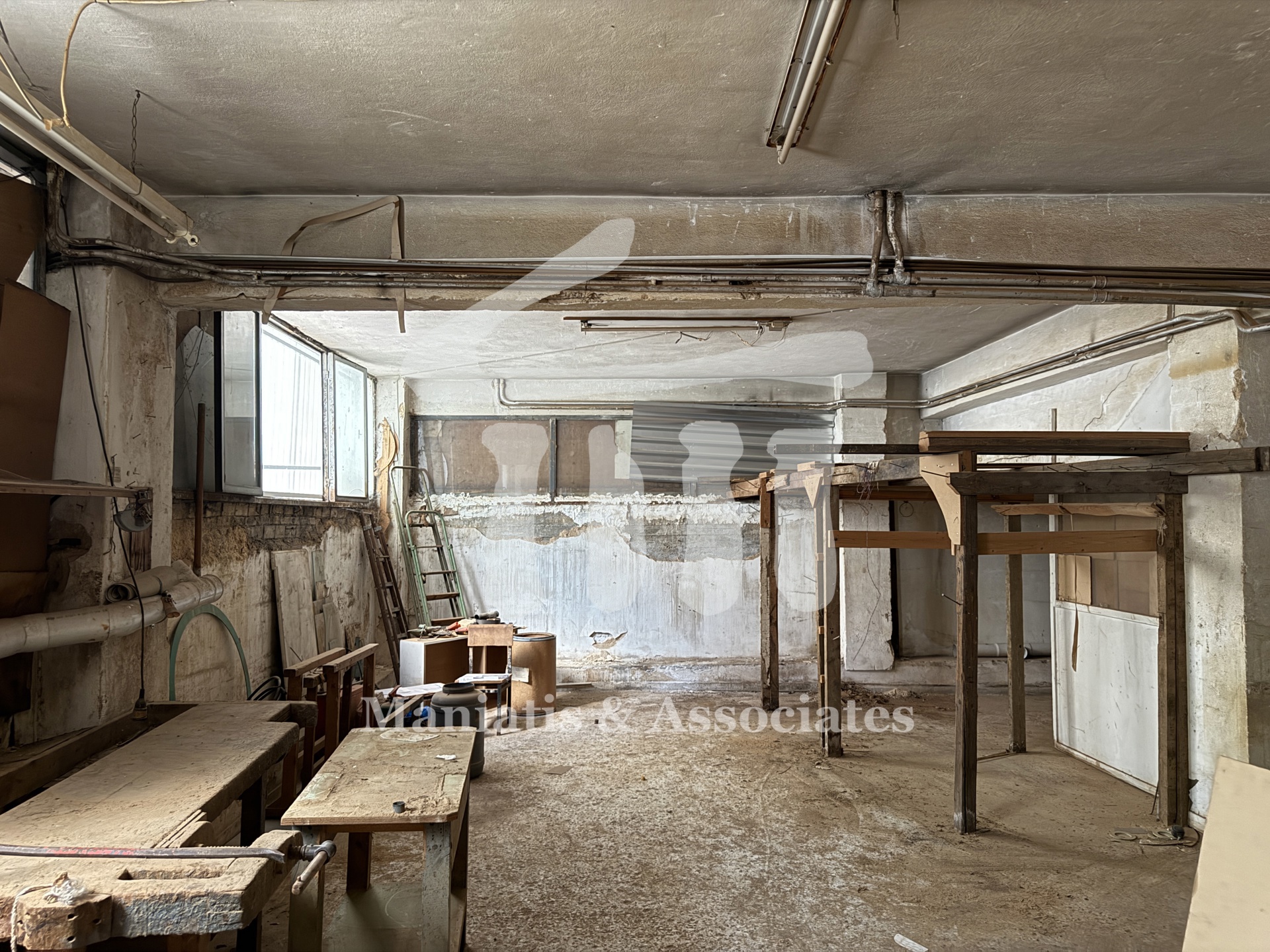 Gallery image 6