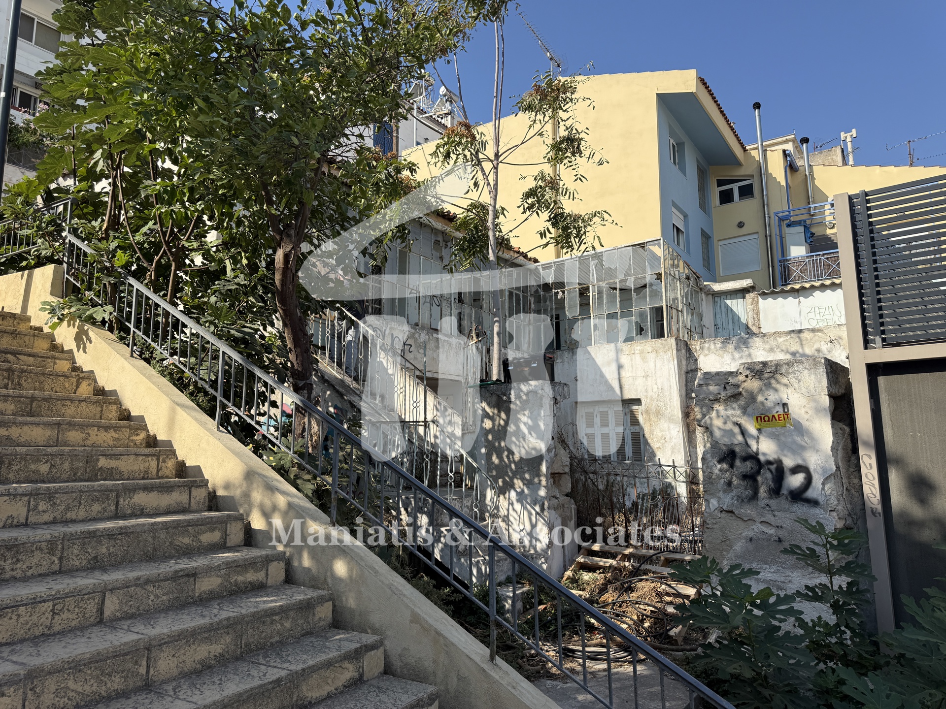 Gallery image 6
