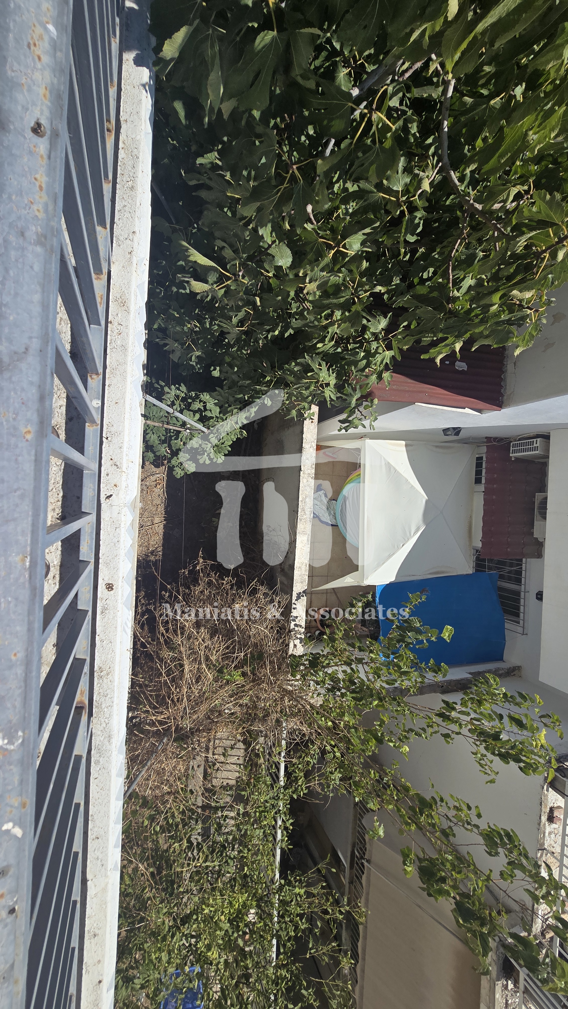 Gallery image 15
