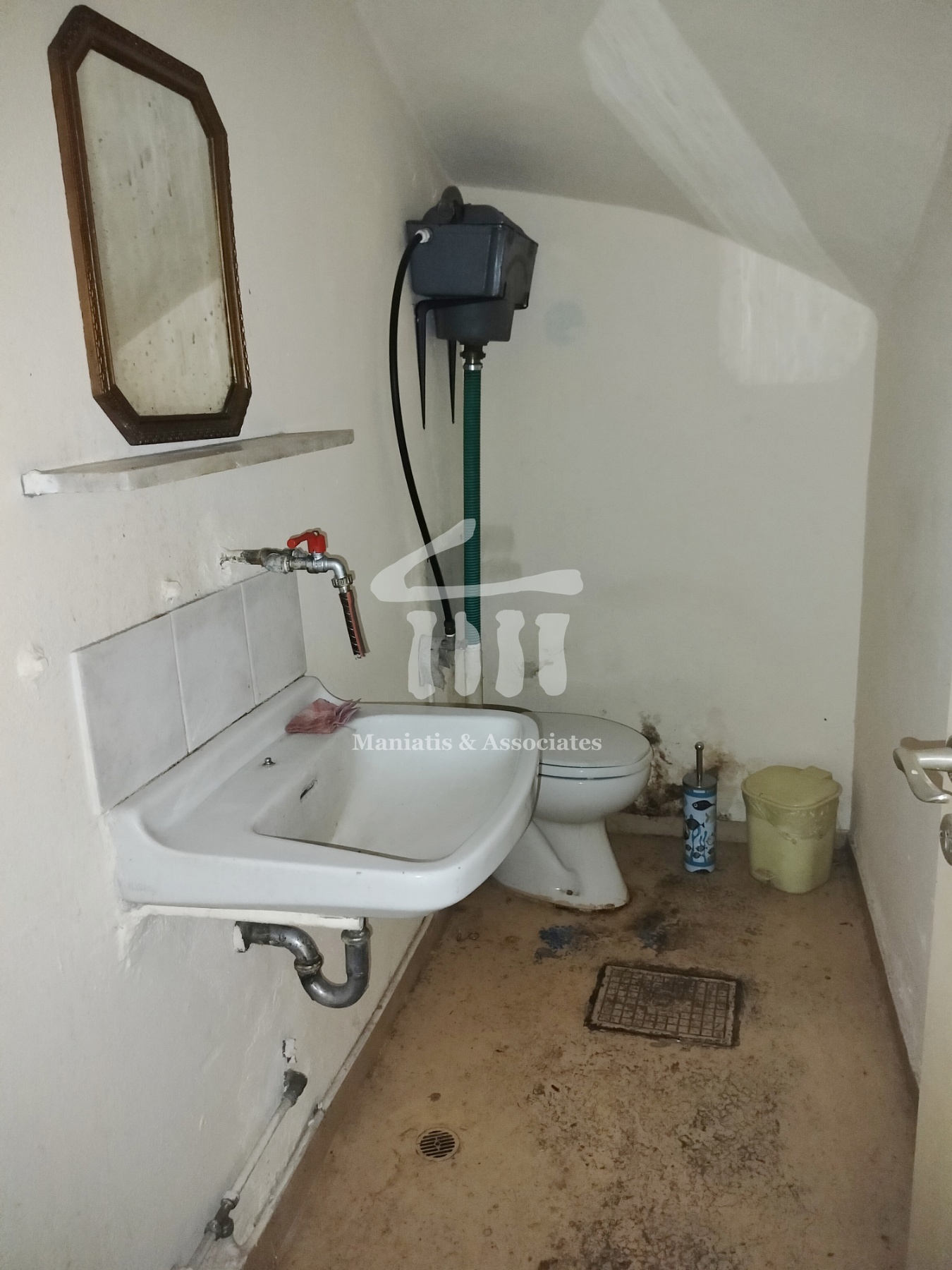 Gallery image 8