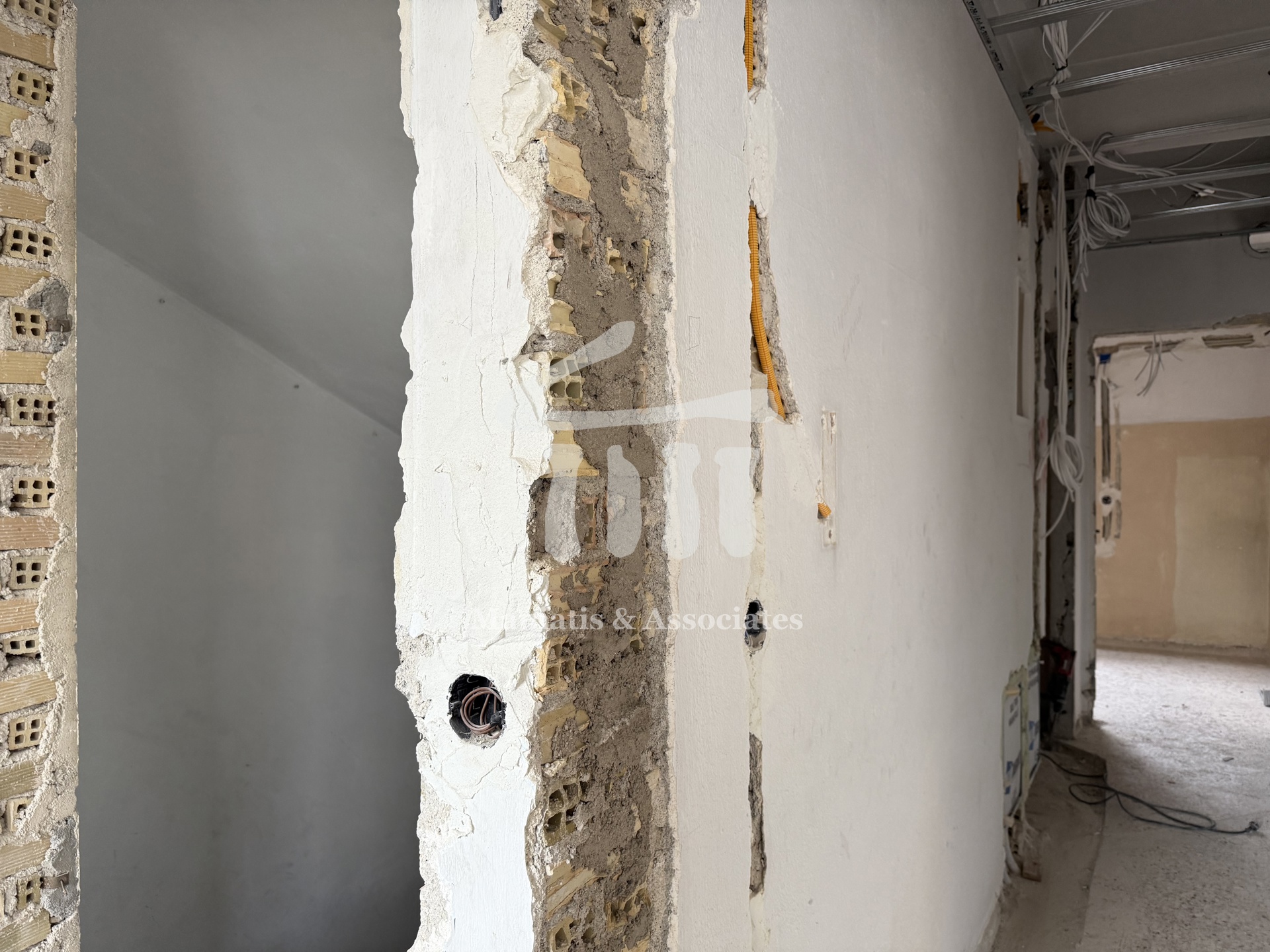 Gallery image 19