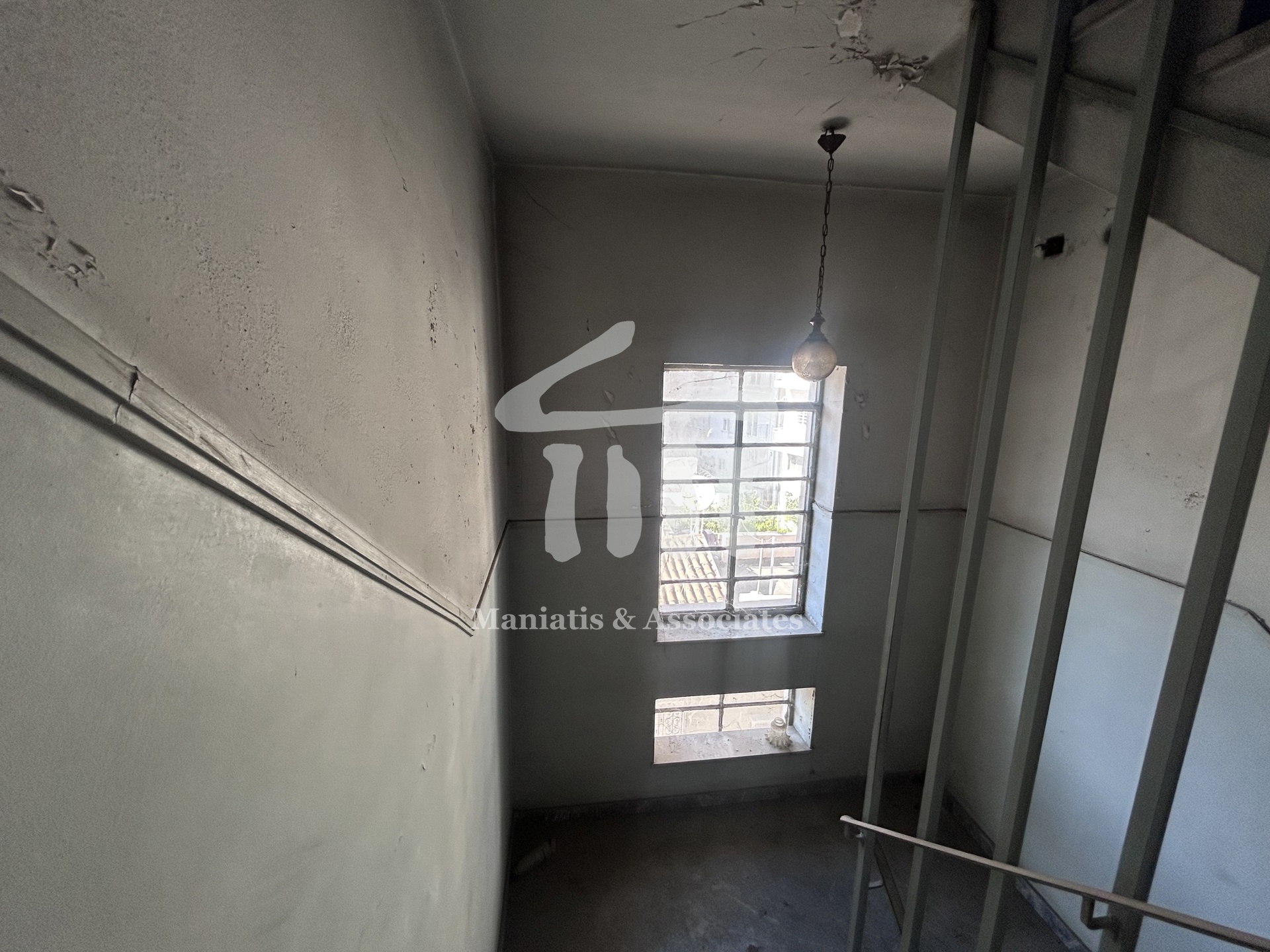 Gallery image 6