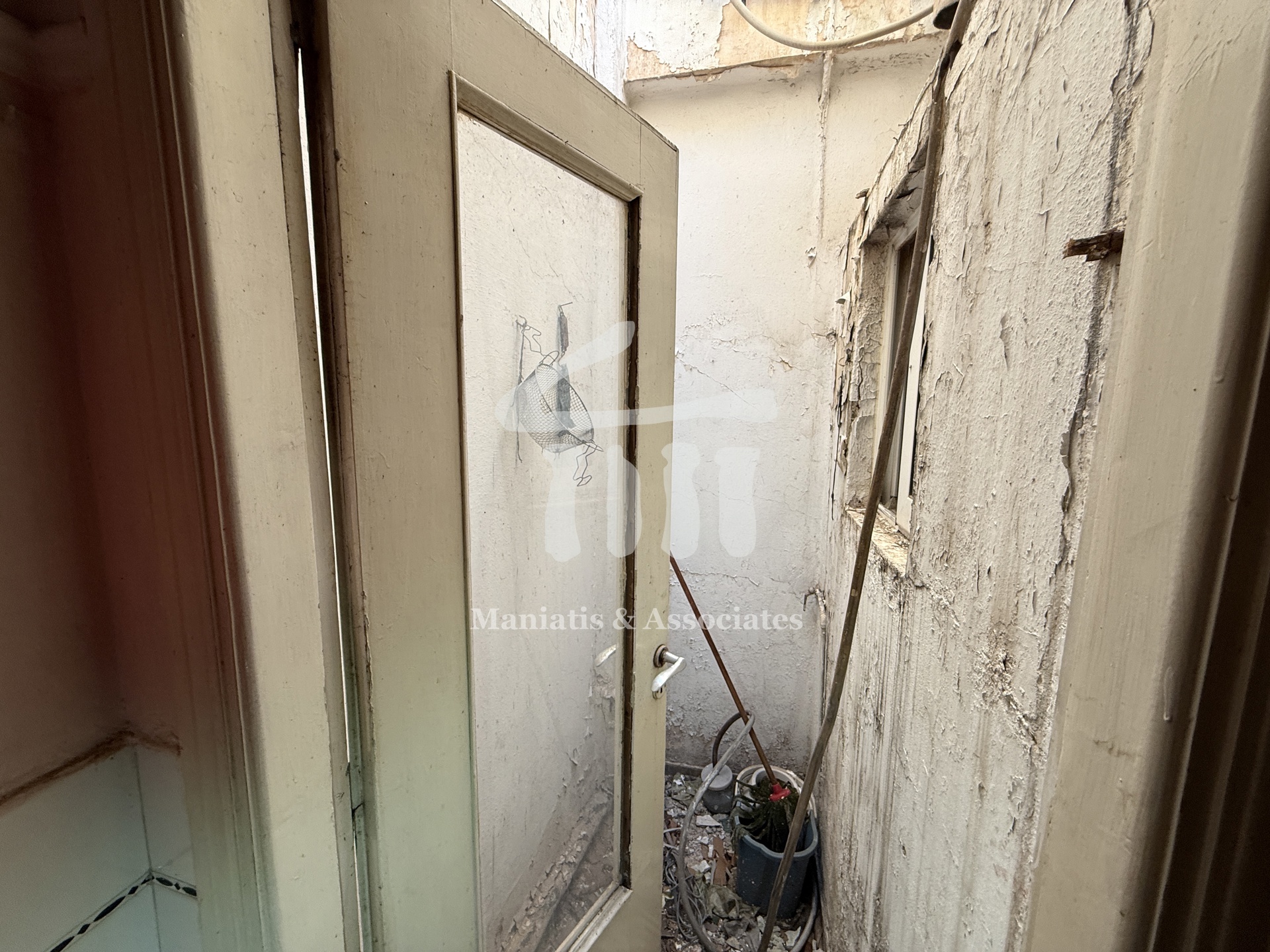 Gallery image 6