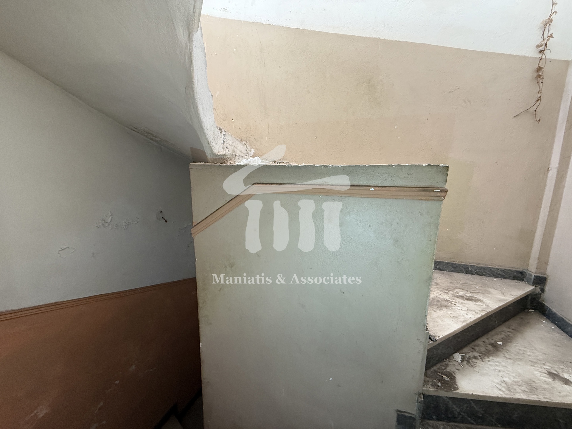 Gallery image 21