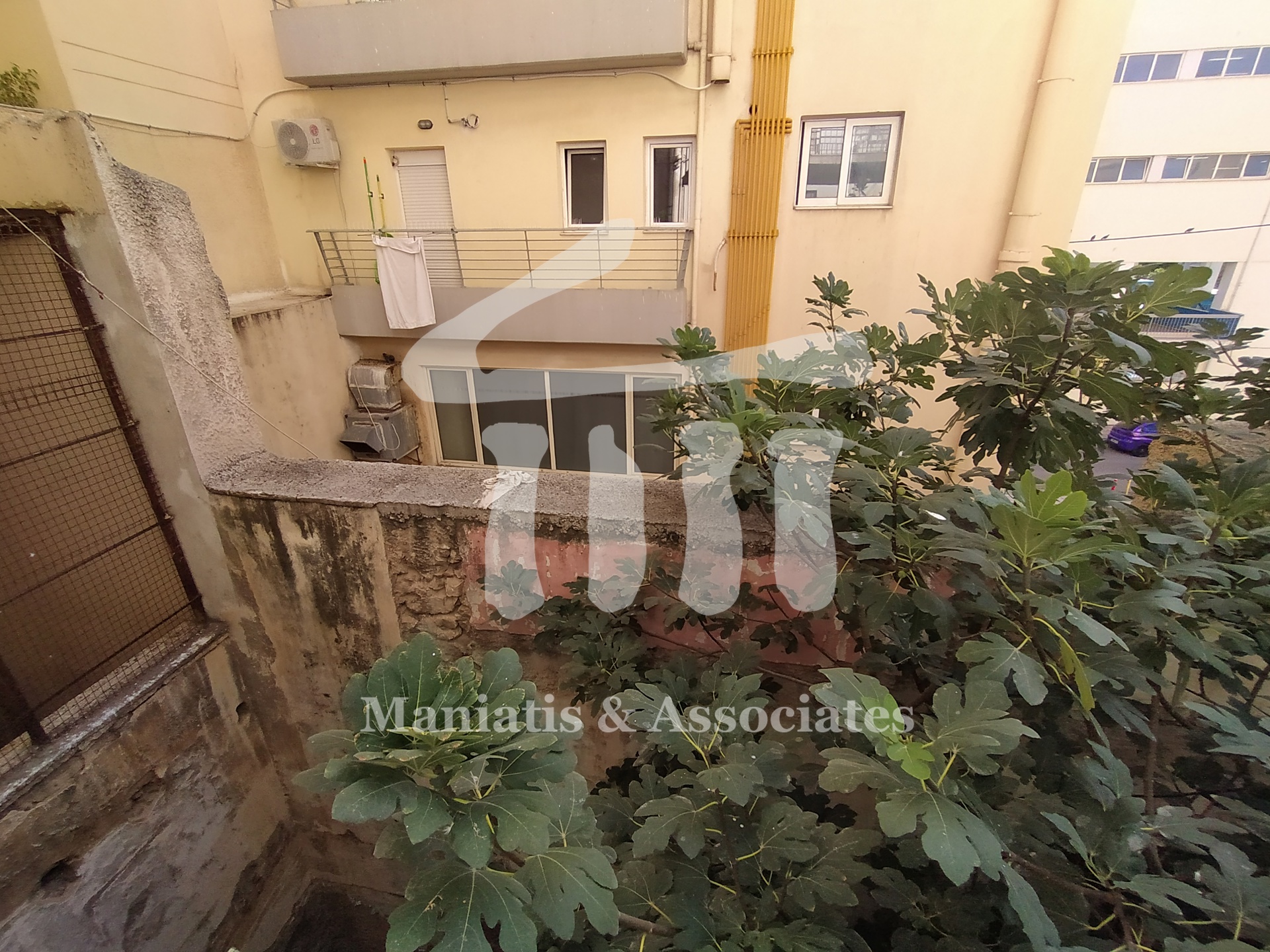 Gallery image 18