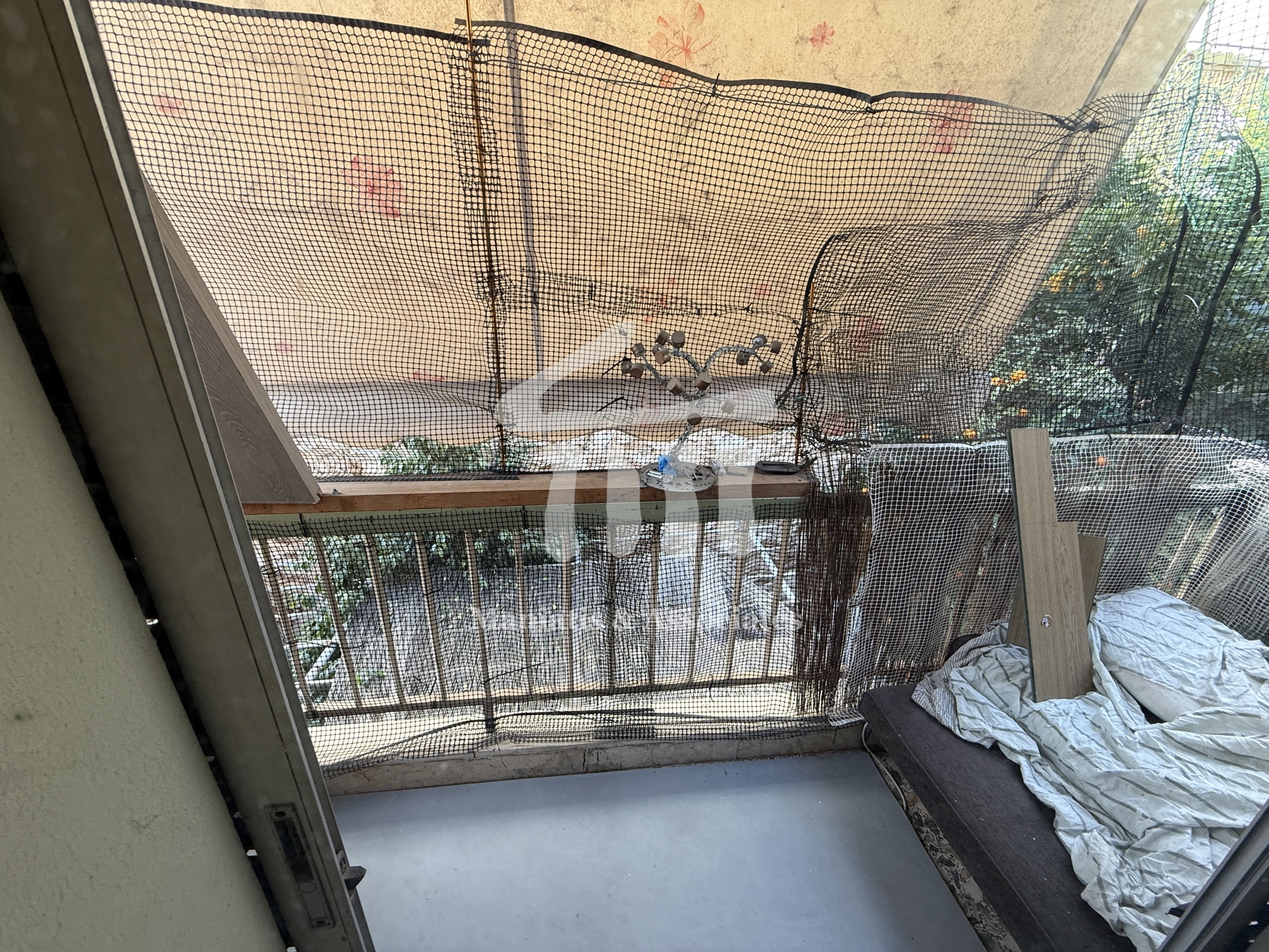 Gallery image 10