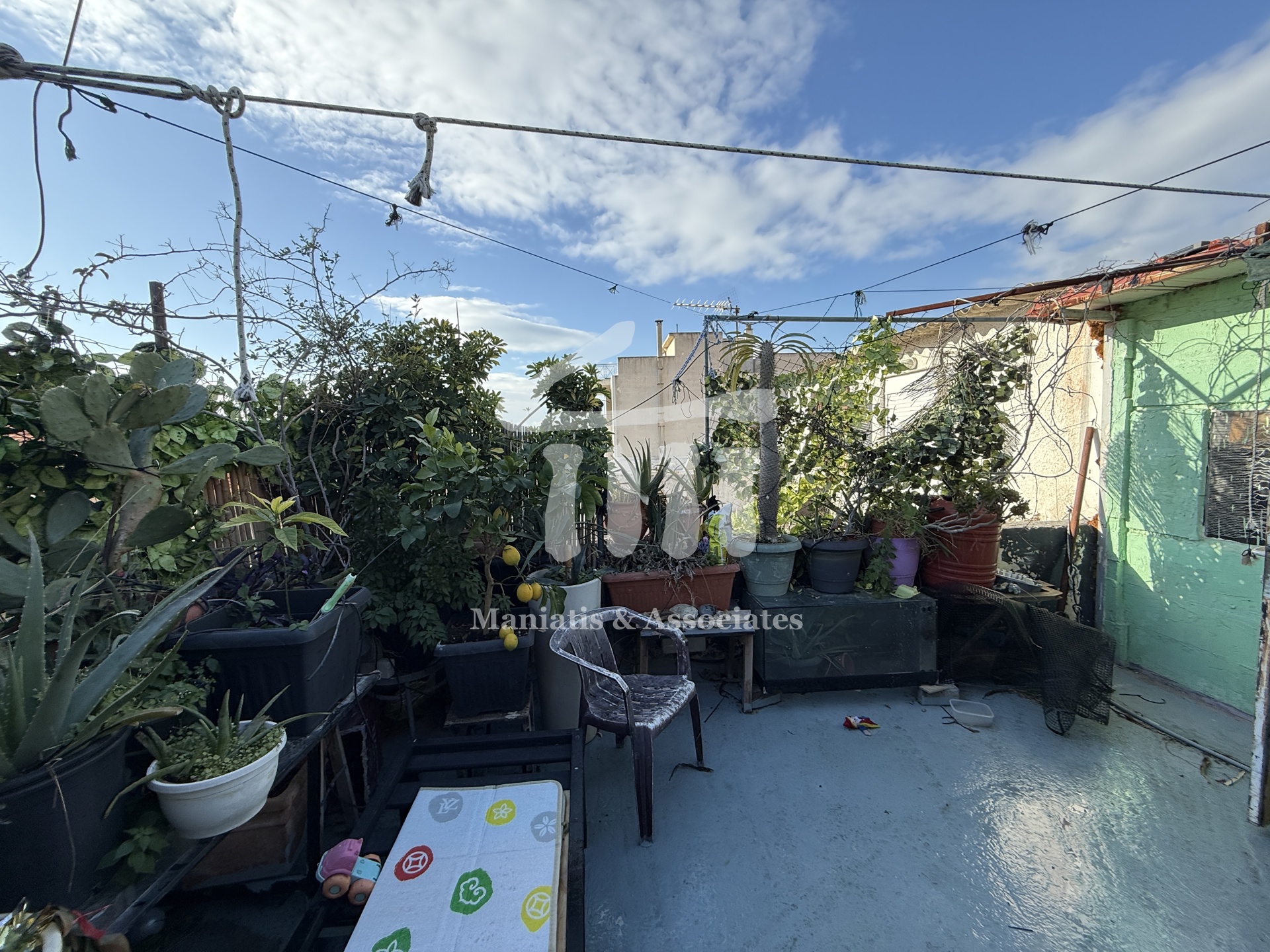 Gallery image 22