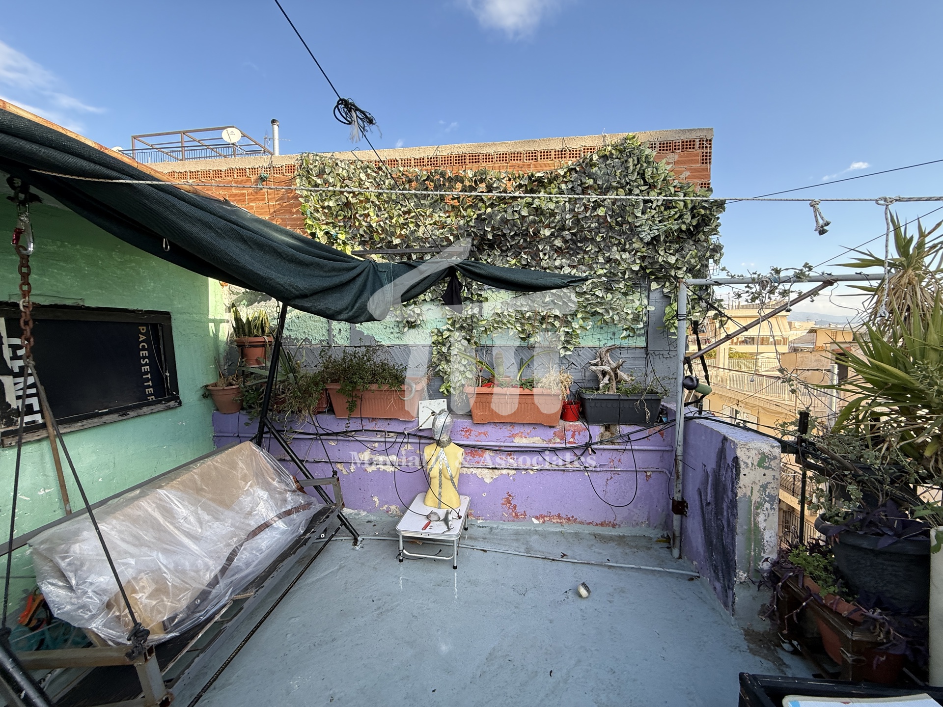 Gallery image 12
