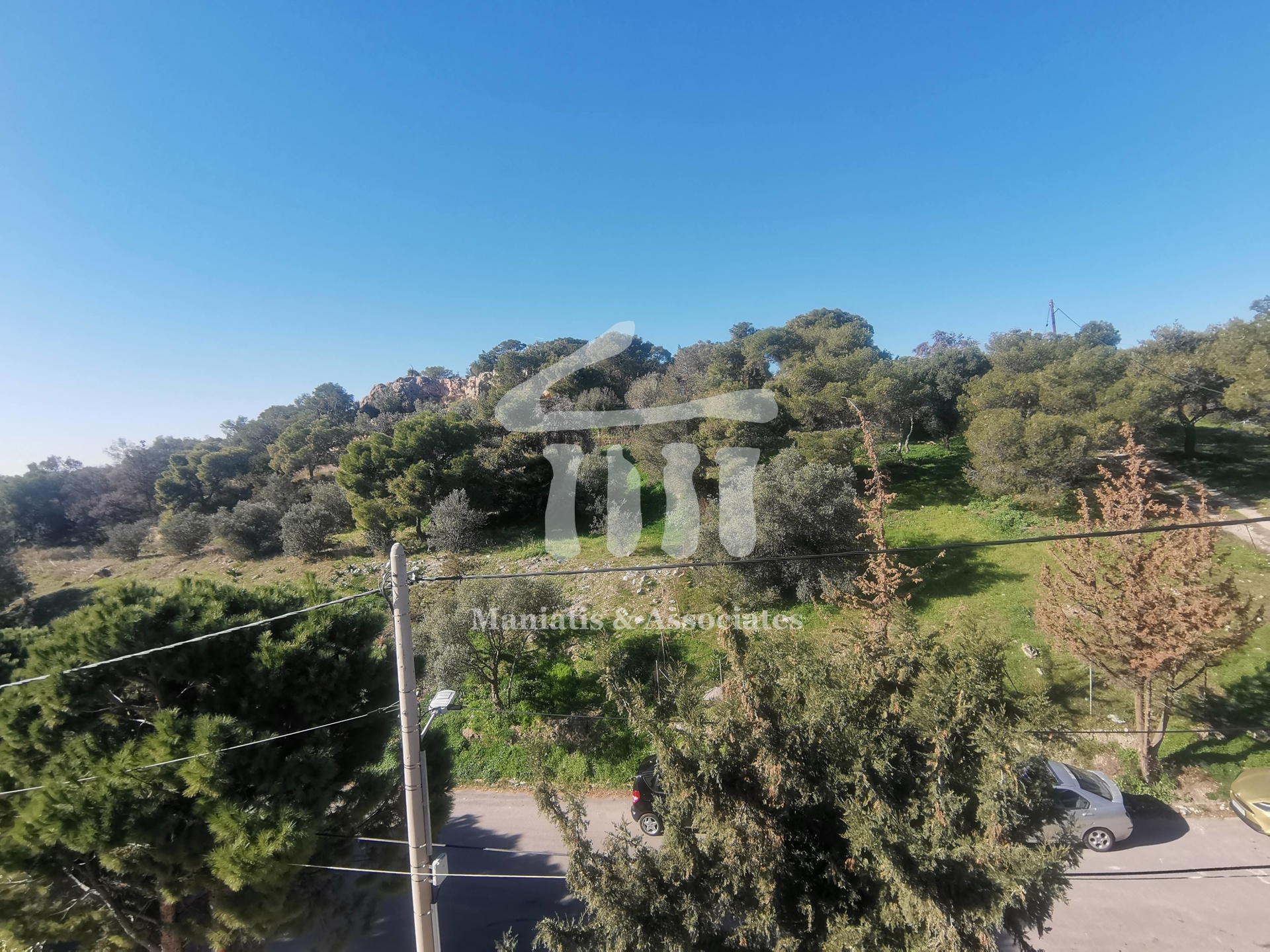 Gallery image 11