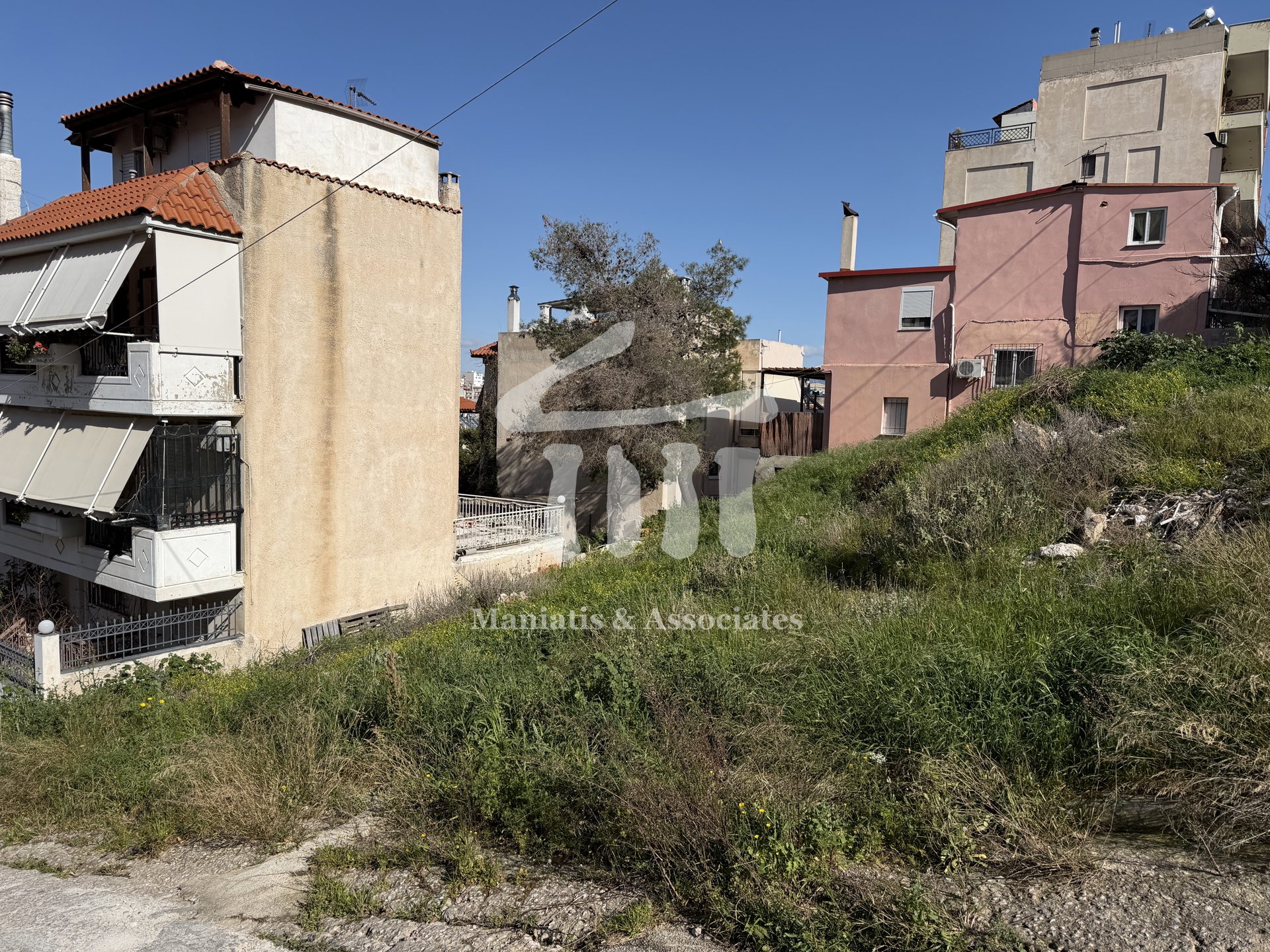 Gallery image 12