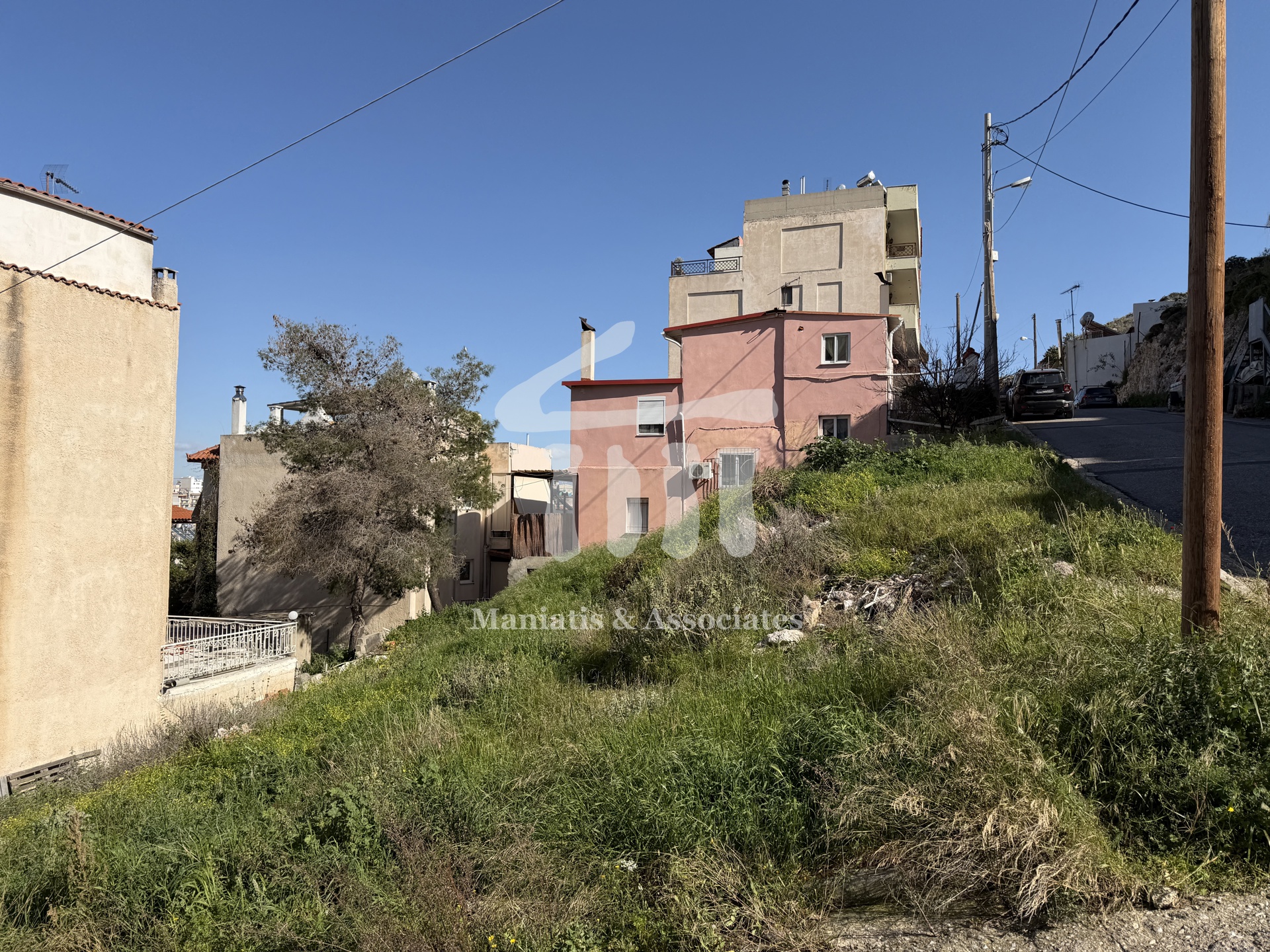 Gallery image 11