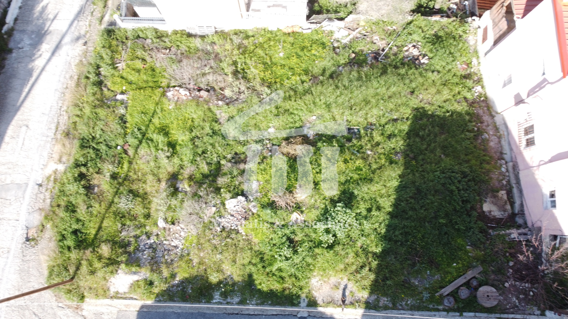 Gallery image 7