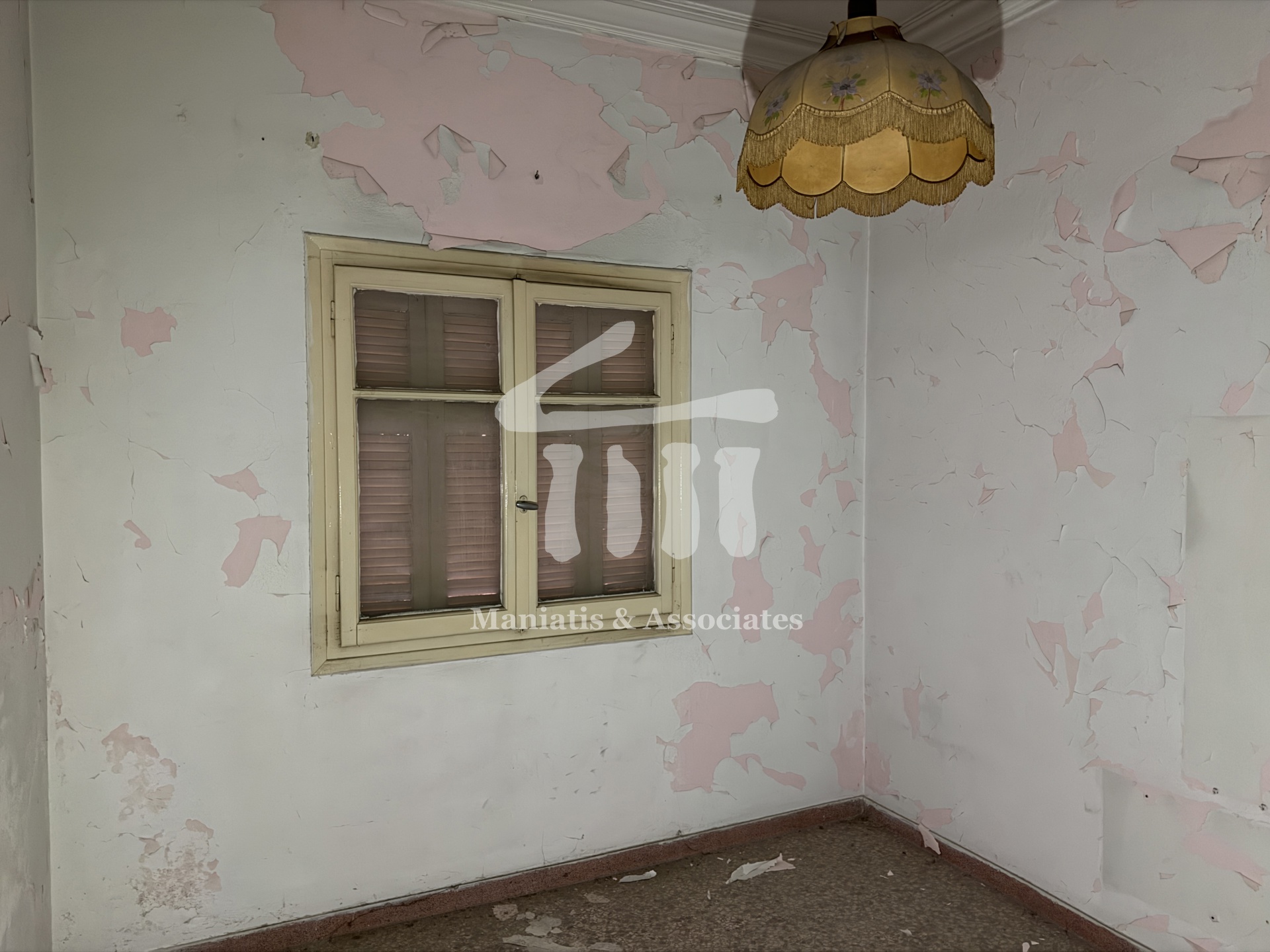 Gallery image 12