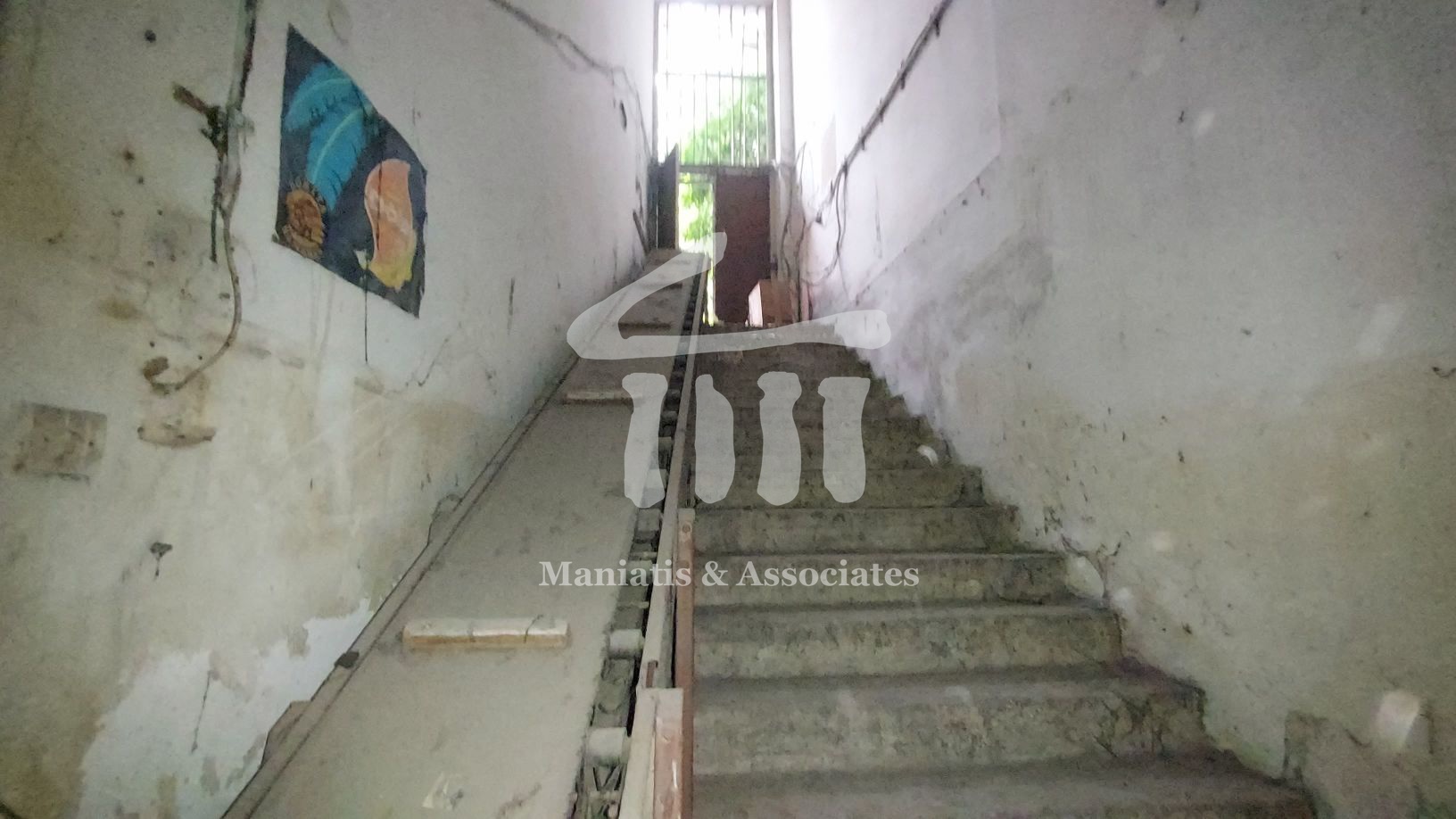 Gallery image 8
