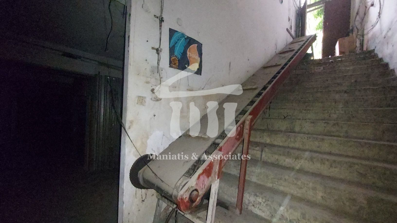 Gallery image 16
