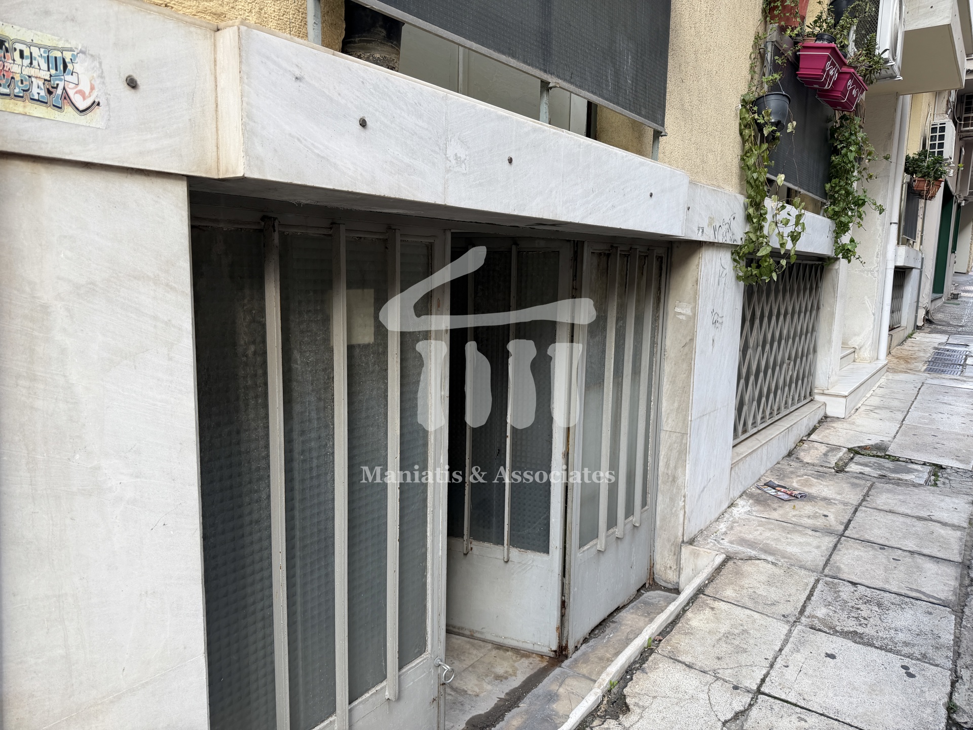 Gallery image 11