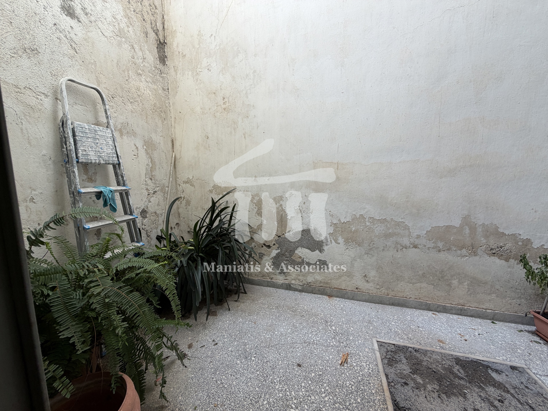 Gallery image 18