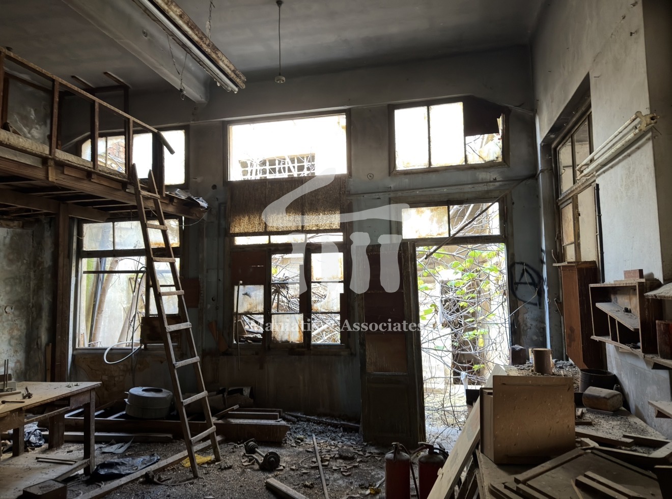 Gallery image 8