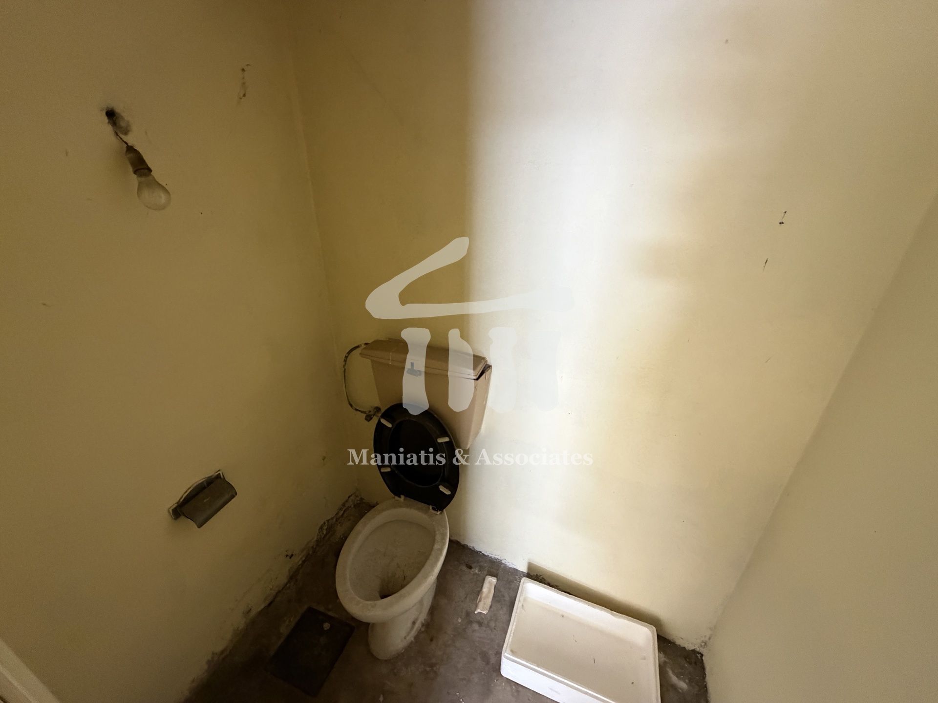 Gallery image 13