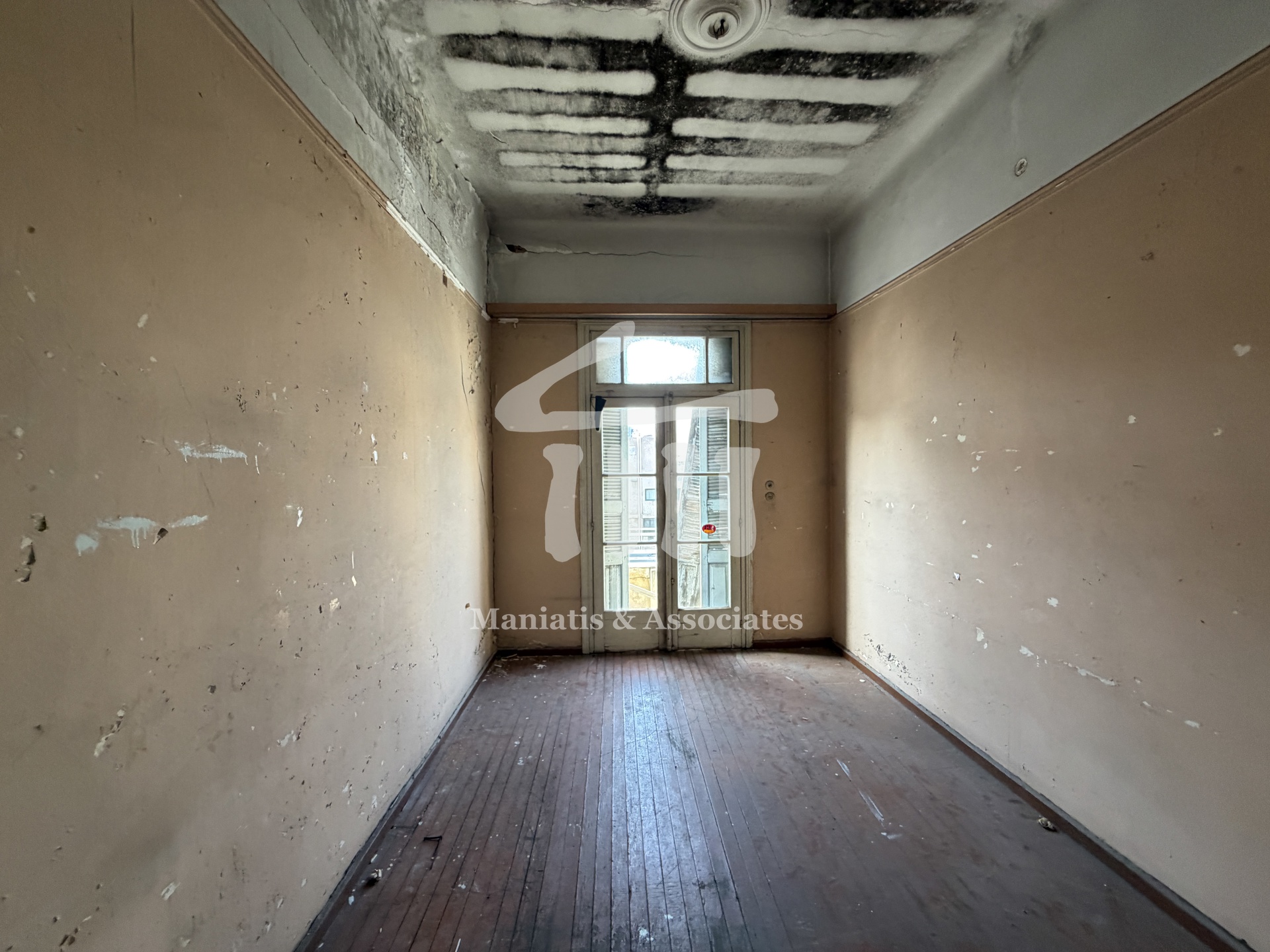 Gallery image 6