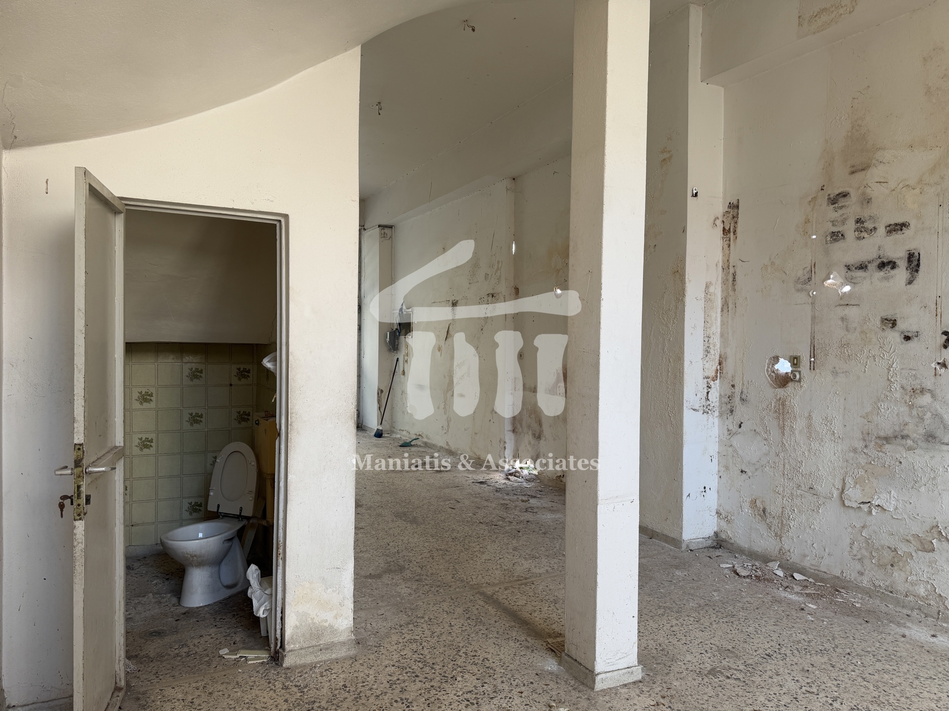 Gallery image 19